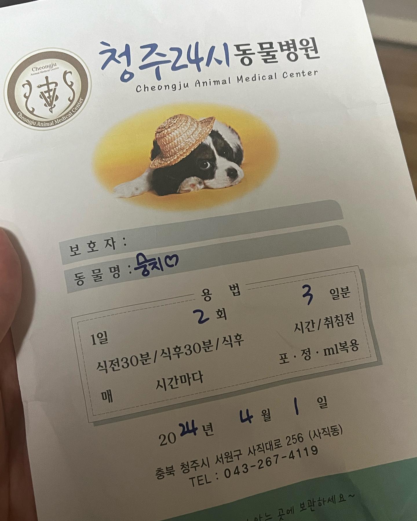 이번주 첨으로 넘 아파서 병원에 다녀온 뭉치 ㅠ..☆ 
지금은 약 잘 먹구 다행히 회복했답니다요 
.
.
.
.
#포메라니안