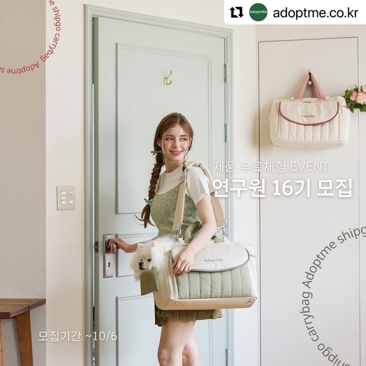 #Repost adoptme.co.kr with use.repost
・・・
어답트미 전제품 무료체험 기회!❤️
16기 연구원 모집 OPEN🎉

이번에 절찬리🔥런칭된 쉽고캐리백 비롯!
N차 완판 신화! 쉽고백팩
추워지는 날씨 필수장만! 쉼하우스
초대형 스크래쳐 더엘타워스크래쳐🙌

어답트미 유일무이 무료체험 EVENT
신청 GOGO
📆모집기간: ~10월6일까지!

📋모집인원: 10명

👋지원방법:
1️⃣ 좋아요&팔로우는 필쑤
2️⃣전체 리그램 (스토리 리그램/일부 리그램 NONO)
3️⃣www.adoptme.co.kr/37 링크 들어가서
신청서 접수❤️버튼 누르고 접수하기!

👑연구원 혜택: 14만원 상당 어답트미 제품 무료체험

🎉당첨발표: 10월10일 (공식 인스타그램)

📌채용합격Tip📌
-성실하게 저희 연구원 활동을 해주실 열.쩡.적인 분을 원해요!🤗

-평소 일상/재밌는 컨텐츠를 활발히 올리시는 분들을 눈여겨 봅니다
(협찬/이벤트 신청 컨텐츠로만 가득이시면..바뿌신가 보다 하고 저흰 소심하게 물러나욤..🤣)

-영상&사진 예쁘게 잘 찍는 분이시면 초우대로 합격각❤️

-저희 제품에 대해 애정&관심 MAX이신 분이면 폴인러브😍

PS. 재입사 지원 조건: 기존 활동하셨던 연구원 분들 중13~15기수분들을 제외 하고 재지원 가능합니다!😊

어답트미와 함께 하실 우리 열쩡 가득 금손 댕냥이 친구들 어서 지원 해주세요!!!

#강아지이동가방 #강아지가방 #고양이이동장 #강아지집 #고양이집 #어답트미쉽고백팩 신제품 첫체험 #강아지쿨매트 #고양이가방 #강아지가방 #어답트미연구원 #체험단모집 #어답트미쉽고캐리백 #어답트미쉽고백팩 #어답트미쉼하우스 #더엘타워스크래쳐 #고양이스크래쳐 #무료체험 기회!