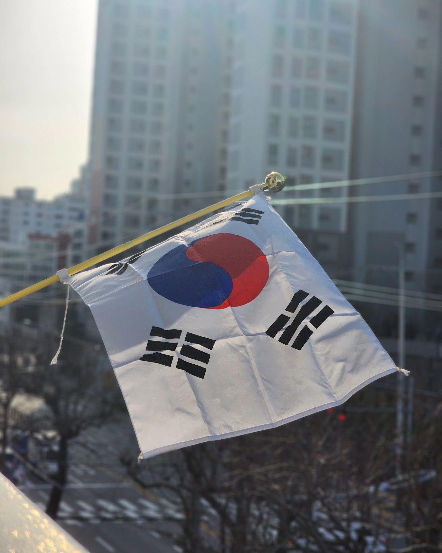 👀눈뜨고 정신차리고 🇰🇷국기게양으로 시작하는 하루
늘 감사한 마음으로❤️ 

유관순 노래 처음 들어본다는 남편이랑 아침부터 투닥투닥

아는 내가 이상한걸까?🤔
모르는 네가 이상한걸까?🤔

🎵삼월하늘 가만히 우러러보며
유관순 누나를 생각 합니다🎵

#일상 #삼일절 #국기게양 #감사합니다