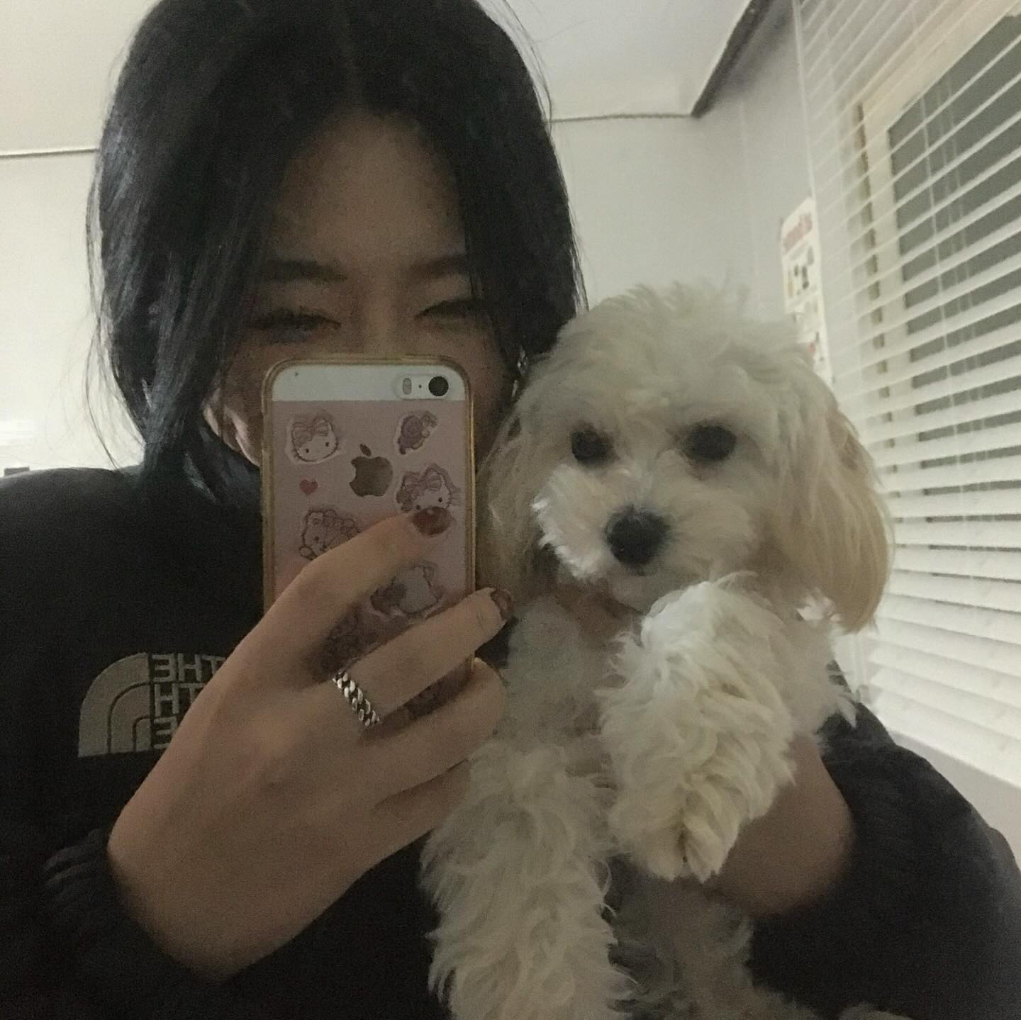 푸힣ㅎ.ㅎ울집 똥깡아지랑 🐶🎀🤍🍬
