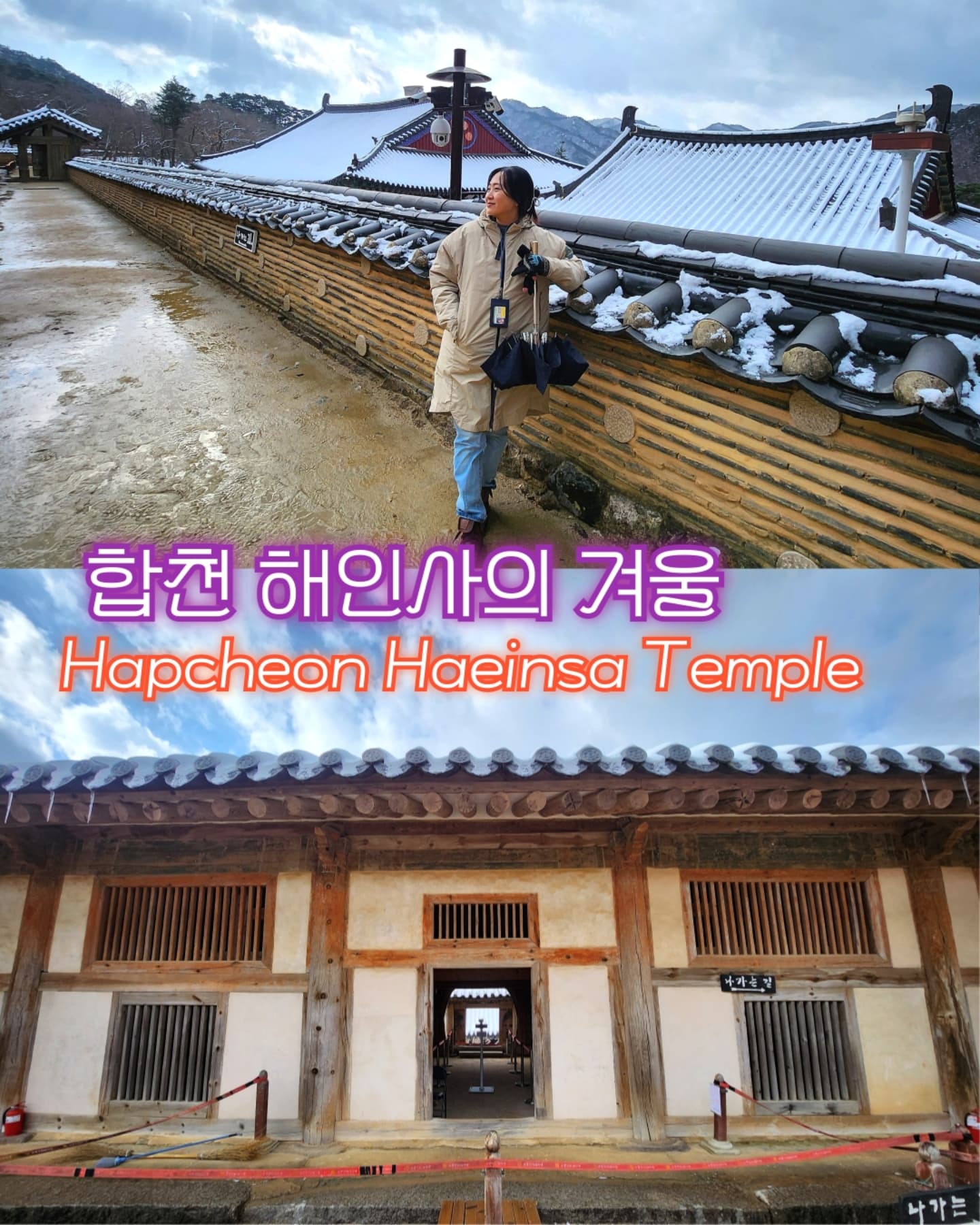 우리나라에는 '3가지 보물💎의 사찰' 이라고 하는 절들이 있다. 이것을 삼보사찰이라고 하는데 그 중에 해인사는 '부처의 가르침' 을 담고 있는 '법보사찰' 이다. 그 부처의 가르침이란 팔만대장경을 의미한다. 무려 81258 장의 대장경판이며 글자수는 무려 5천2백만자로 추정된다. 글자 하나하나 오탈자가 없고 모두 고르고 정밀하다. 😲16년에 걸쳐 완성되었다고 한다. 부처의 힘으로 고려 말 당시 몽고군의 격퇴를 염원하여 제작한 세계에서 가장 완벽하고 정확한 대장경이다. 
역시 종교의 힘은 놀랍다. 👏👏👏 초인적 힘을 불러일으킨다.

📔팔만대장경을 보관하고 있는 장경판전은 창건연대는 알 수 없으나 조선시대인 15세기 중반으로 기록되고 있다. 이것은 세계 유일 대장경판 보관용 건물이다.😲
나는 관광객들에게 장경판 전에 과학적인 건축 구조에 대해 설명한다.

❄️이날은 대설주의보☃️가 내렸다. 정말 놀라운 것은 우리가 해인사에 눈을 뚫고 도착하고 나서 얼마 지나지 않아 거짓말처럼 눈이 그치고 해🌤가 떴다는 것이다. 눈으로 소복해 뒤덮인 사찰과 그 주변의 가야산🏔의 조화가 고요하고 웅장해서 시간 가는 줄 모르고 바라보게 된다. 지금까지 중 최고의 해인사 뷰였다. 타이밍 예술이다. 럭키 비키하군.🍀

In Korea, there are 'Three Jewel Temple'. Haeinsa Temple is 'The Temple of yhr Buddha's teaching' The Buddha's teaching means the Tripitaka Koreana. It is 81258 pieces of the carved wooden boards, and the number of letters is estimated to be 52 million characters on them. Each letter has no errors, and all are even and precise. It is said to had been completed over 16 years. With the power of the Buddha, it is the world's most complete and accurate Tripitaka Koreana, which was made to wish for the defeat of the Mongols at the end of the Goryeo Dynasty. 
The power of religion is amazing. It evokes superhuman power.

The Janggyeong Panjeon Hall, which houses the 📔 Tripitaka Koreana, dates back to the mid-15th century during the Joseon Dynasty. It is the only building in the world to store for Tripitaka.😲

❄It snowed a lot this day. ☃ ️. What's really amazing is that not long after we arrived at Haeinsa Temple through snow, the snow stopped and the sun appeared. 🌤 The harmony of the temple covered with snow and the surrounding Mt. Gayasan 🏔 is calm and magnificent, which makes you lose track of time. It was the best view of Haeinsa Temple so far. Best timing ever!