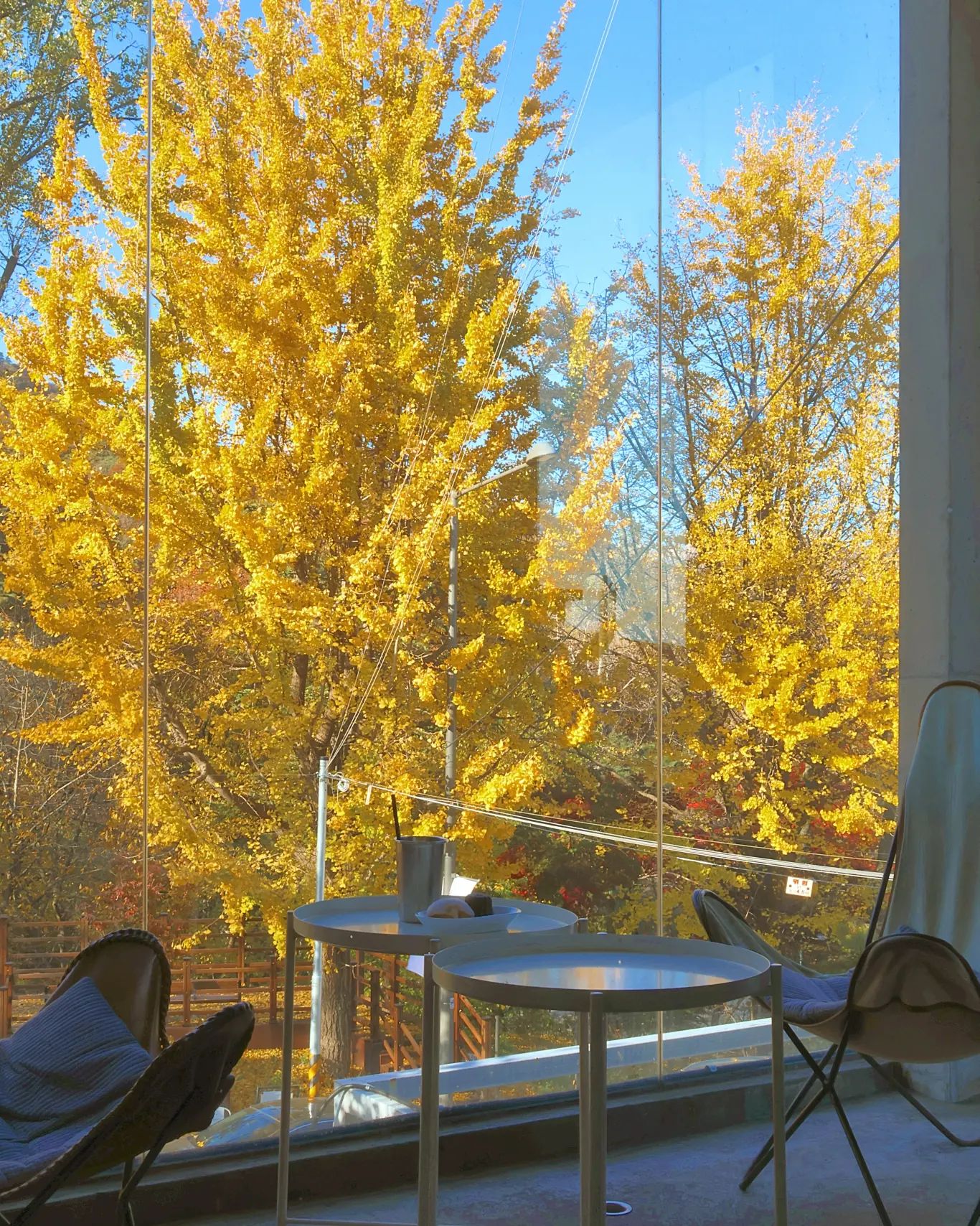 제리의 가을🍂