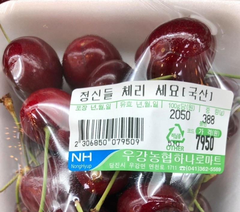 콘텐츠
