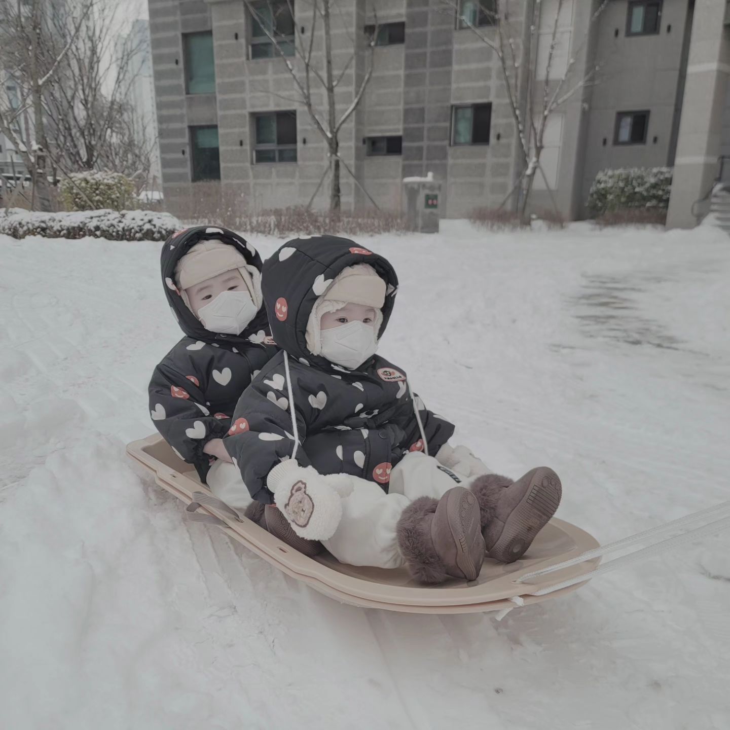 완전무장하고 첫썰매🎄
엄빠 너무 힘들지만 너희가 즐거우면 됐다😂