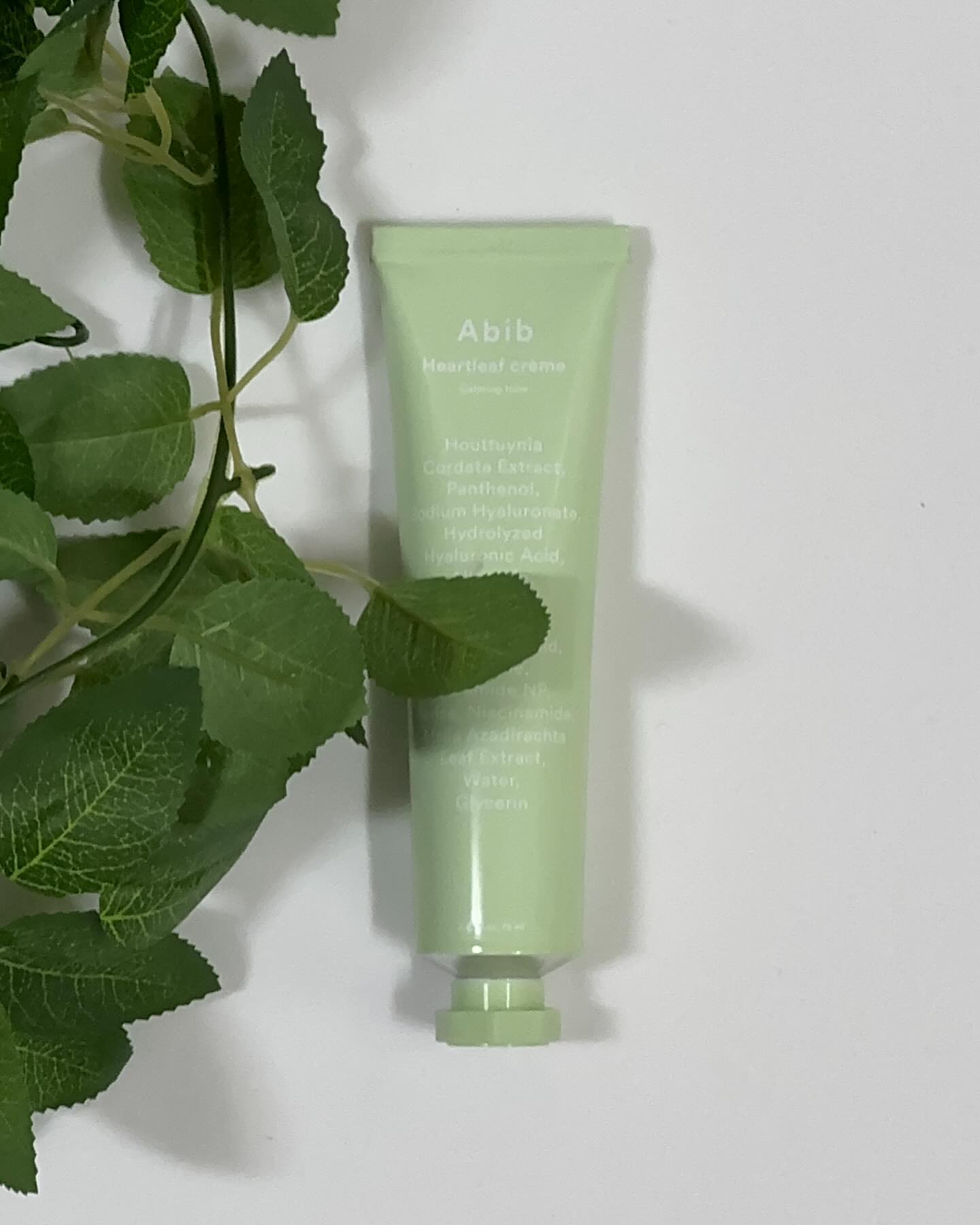 #광고 abib.official 

Abib heartleaf creme calming tube 

예민하고 건조한 피부를 촉촉하게 만들어주는
간절기에 딱 맞는 크림 .. 🍵🫧

속건조 지성인 저한테 너무 필요했던 수분 크림이에요 ♡
어성초 크림은 3월 한 달 간 올리브영에서 1+1 으로 구매 가능 !