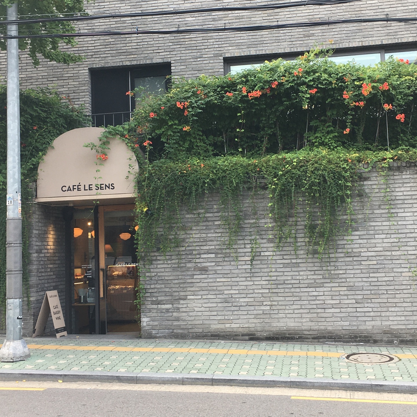 당비 언니랑 힐링 데이트 🫧🤍
한남덩 너무 잘알아서 쫄쫄쫄 쫒아다니기 ,,,
항상 고민 잘들어주고 진심인 언니 
명언 제조기 💐
