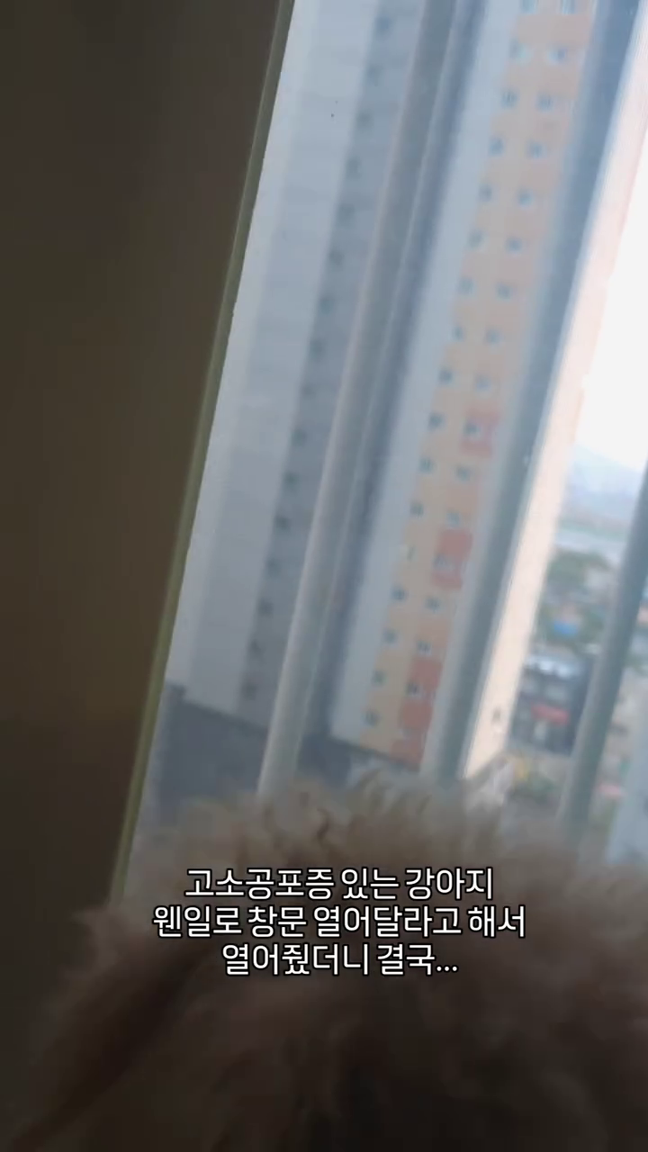엄마도 솔찬히 놀랬다잉~😂😂