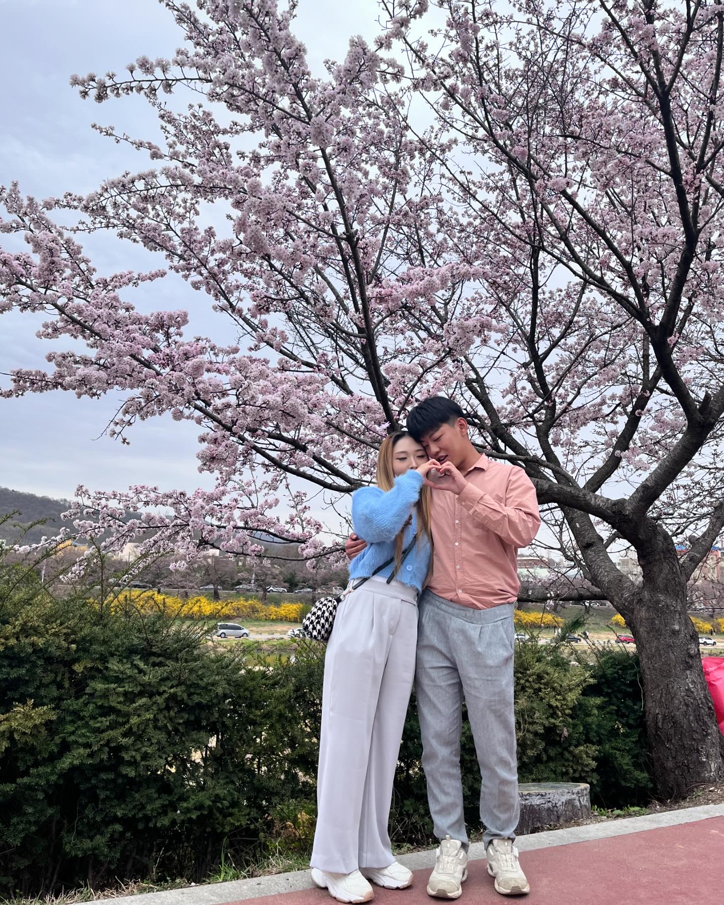봄 사랑 벚꽃말고~~

🌸🌸🌸