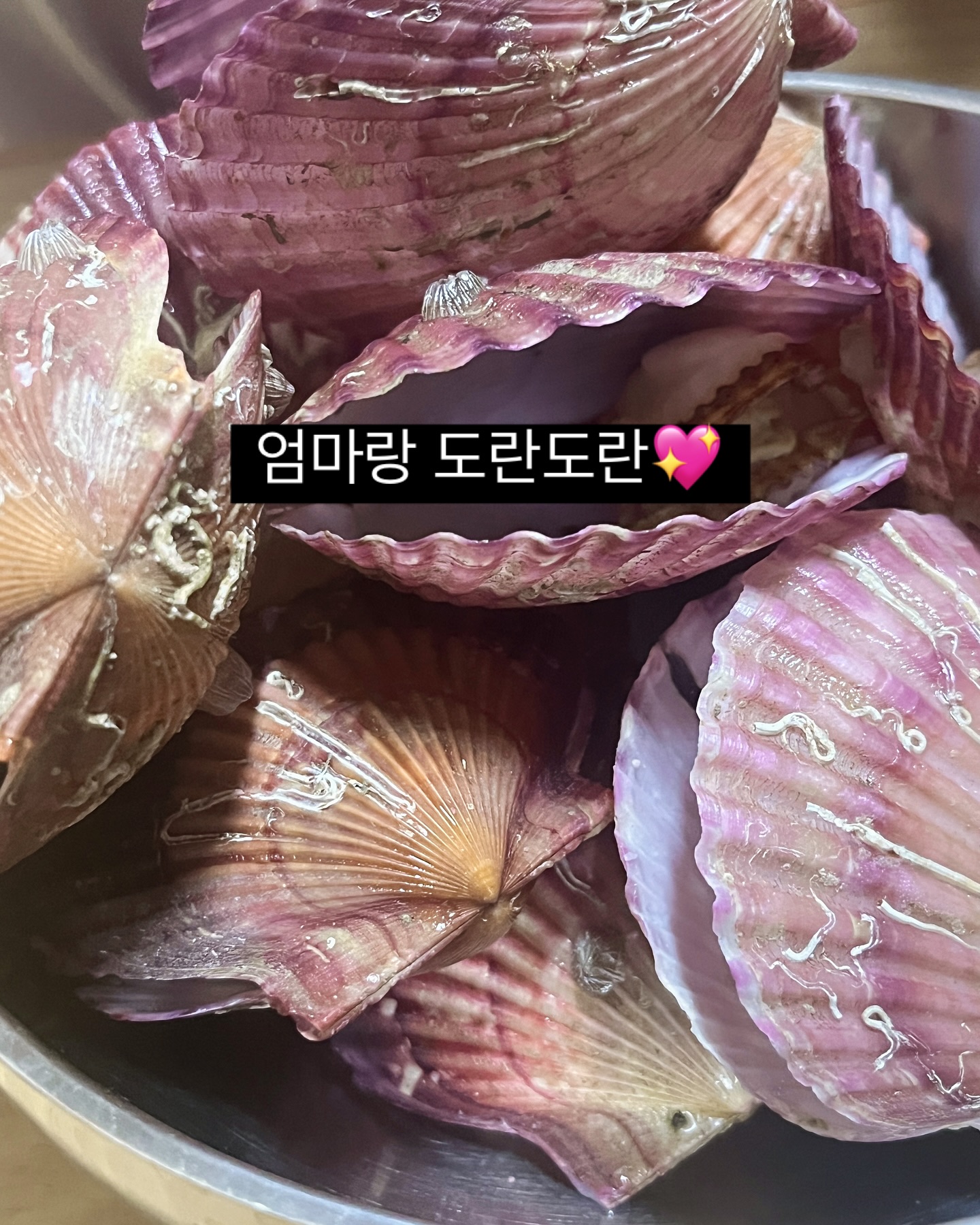 ⠀
엄마랑 폭풍수다떨며 야식 , 가리비 까먹기ㅋㅋㅋ
초장 챡 ! 찍어서 먹음 얼 ~ 마나 맛있게요 💖
⠀

엄마랑 도란도란 이야기할 때 넘 재미나ㅠㅠ
# 세상에서 가장친한 친구 , 우리엄마 👩🏻✨