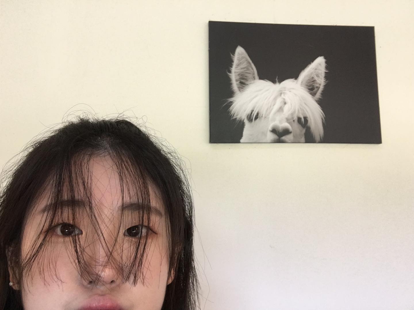 #lookslike