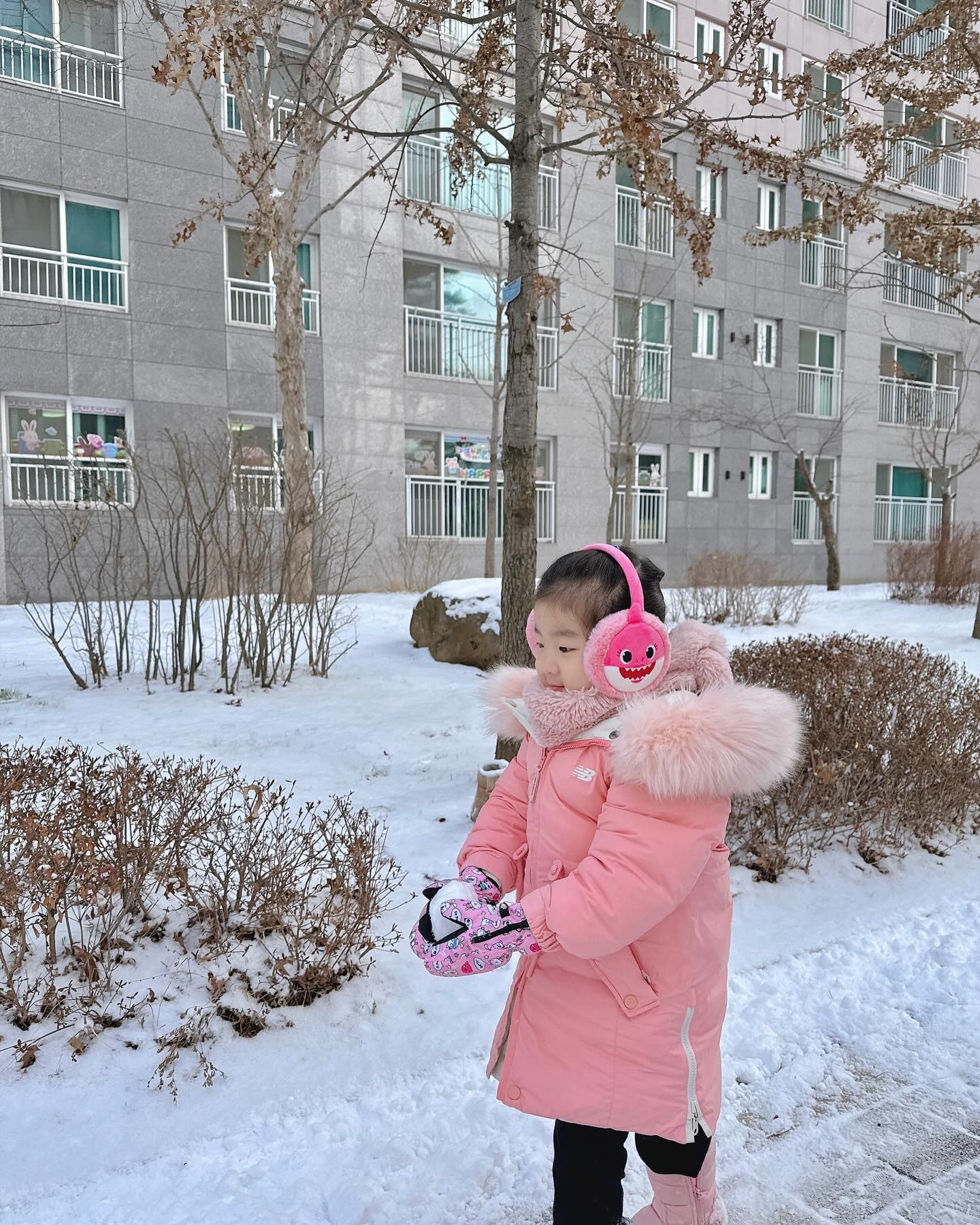 올해 첫 눈과 함께 한컷 ❄