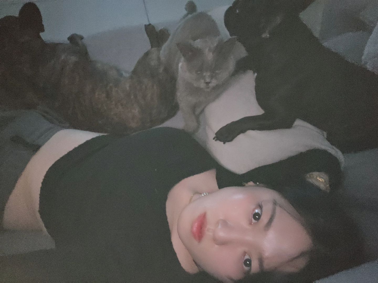 🩶🖤🤎
귀여운
털뭉태기들