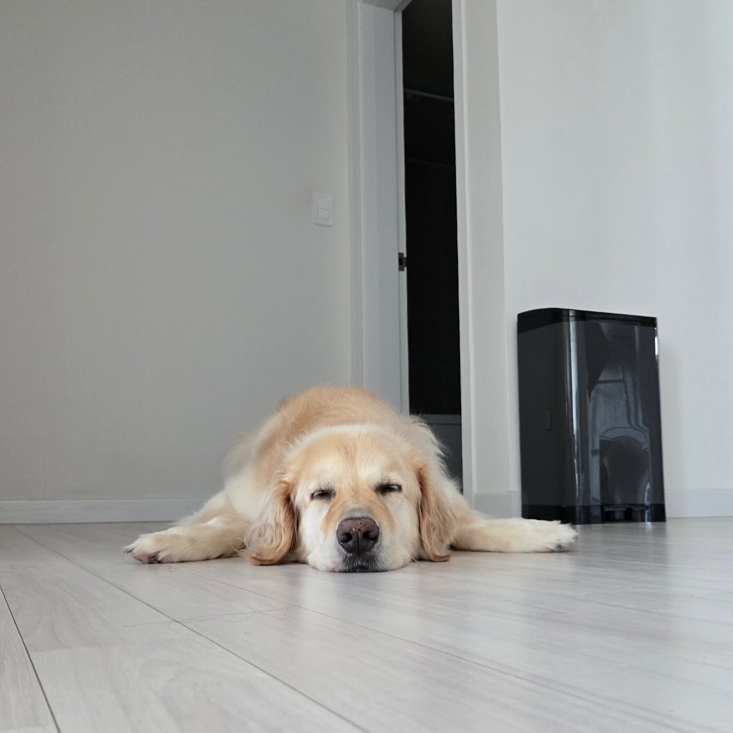 귀여어!!!!🐕🩵🐕🩵🐕🩵
.
.
.
#내사랑달구