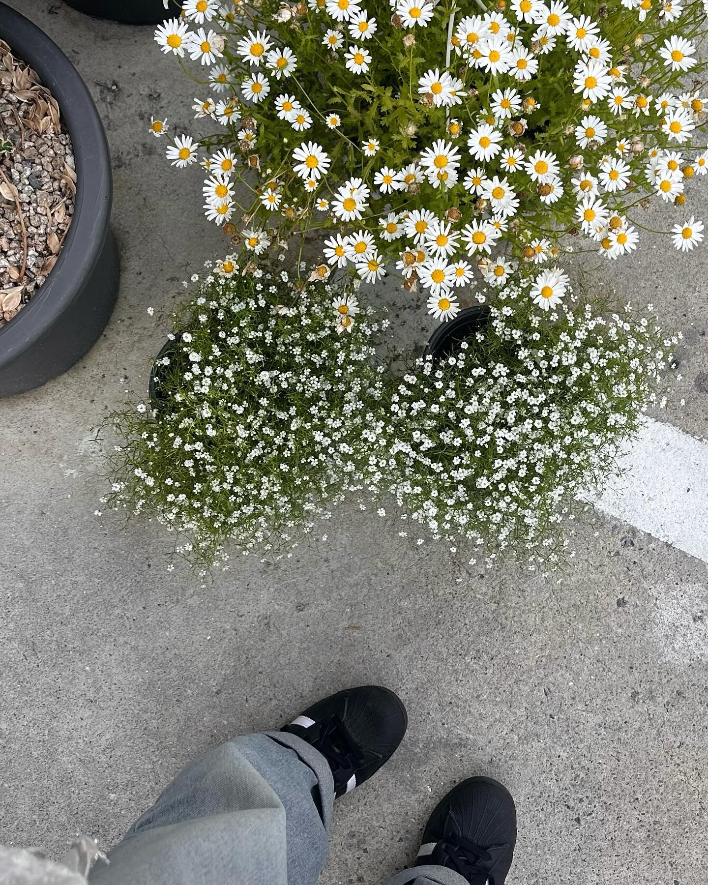 🍀🤞🏻