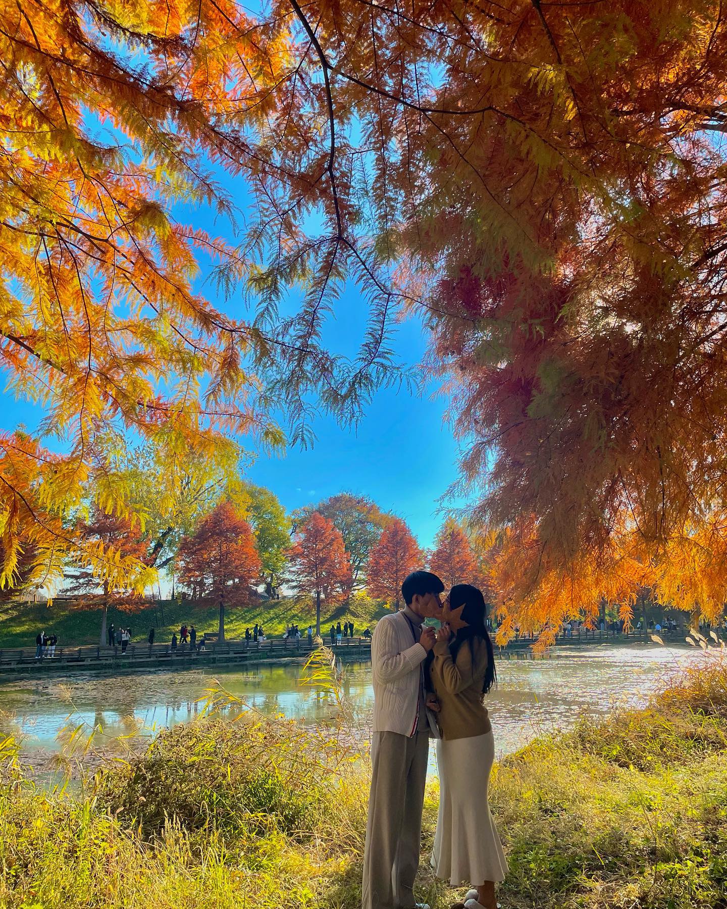전남 여행지를 추천해 드릴게요 🍁작년에 다녀온 곳들인데 11월 첫째주 쯤에 가시면 이렇게 예쁜 사진들은 잔뜩 건질 수 있답니다 구례 산수유축제는 3월에 방문해야 하니까 제외 하고 봐주세요 🫧

📍담양관방제림
📍나주 산림자원연구소
📍보성윤제림
📍나주은행나무수목원
📍 구례 산수유축제

#전남여행 #전남여행지 #가을 #가을여행 #가을룩 #전라남도 #전라남도여행 #전남여행사진공모전 #국내여행코스 #국내여행스타그램 #국내여행추천 #국내여행지추천 #여행 #가을풍경 #trip #travel #korea