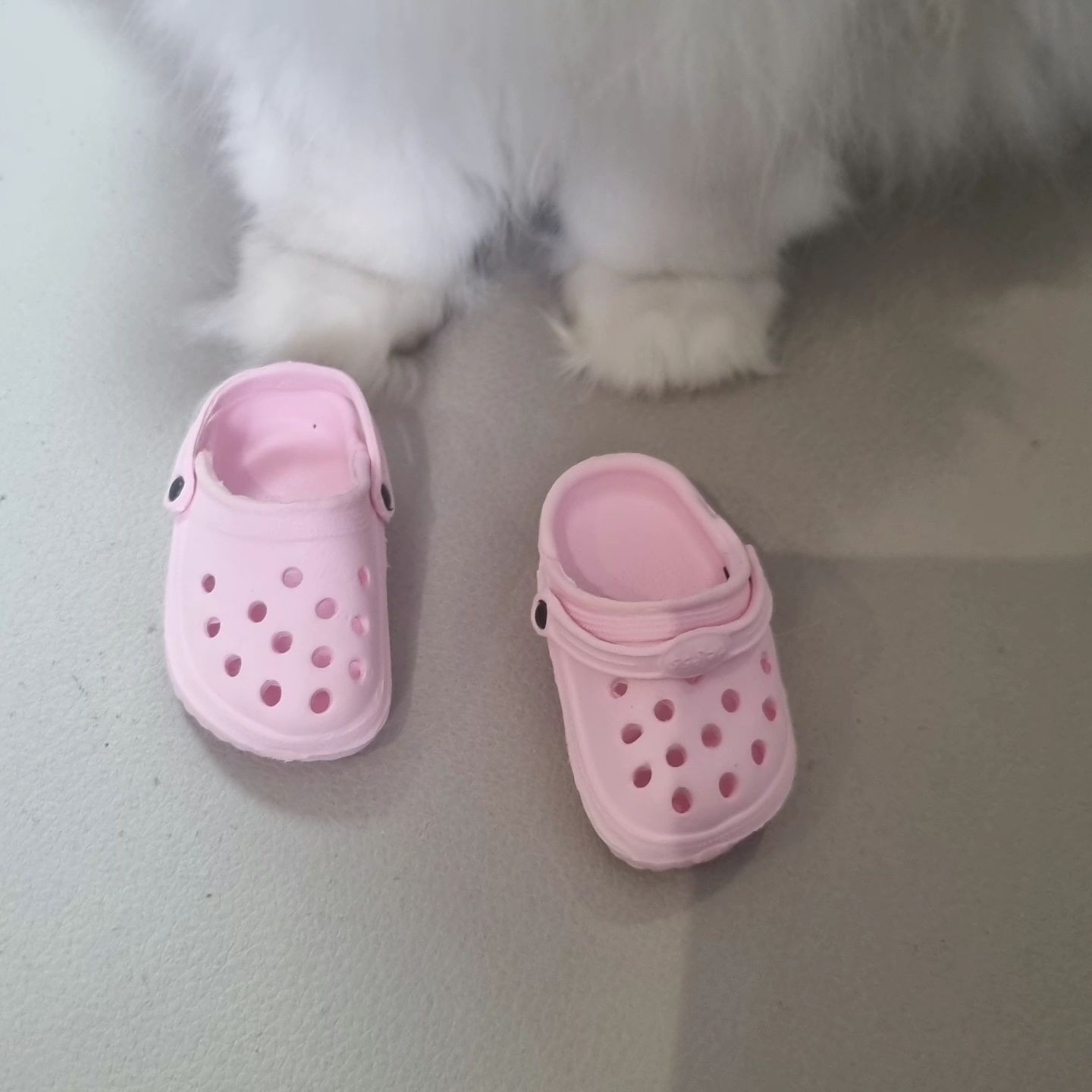 한번만..
신어줘... ㅋㅋㅋㅋㅋㅋㅋ

남자는 핑크지!!
졸귀ㅋㅋㅋㅋ

크록스다냥😻

#고양이 #냥록스 #고양이크록스 #캣 #캣스타그램
#집사 #페르시안