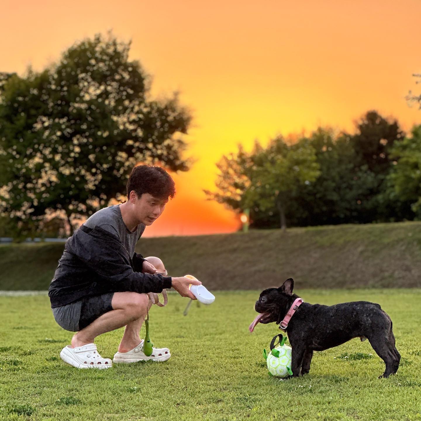 내사랑들♥️
#프블 #프렌치불독 #frenchbulldog #반려견 #공또 #강아지산책 #멍스타그램 #댕스타 #🐾#럽스타그램💕