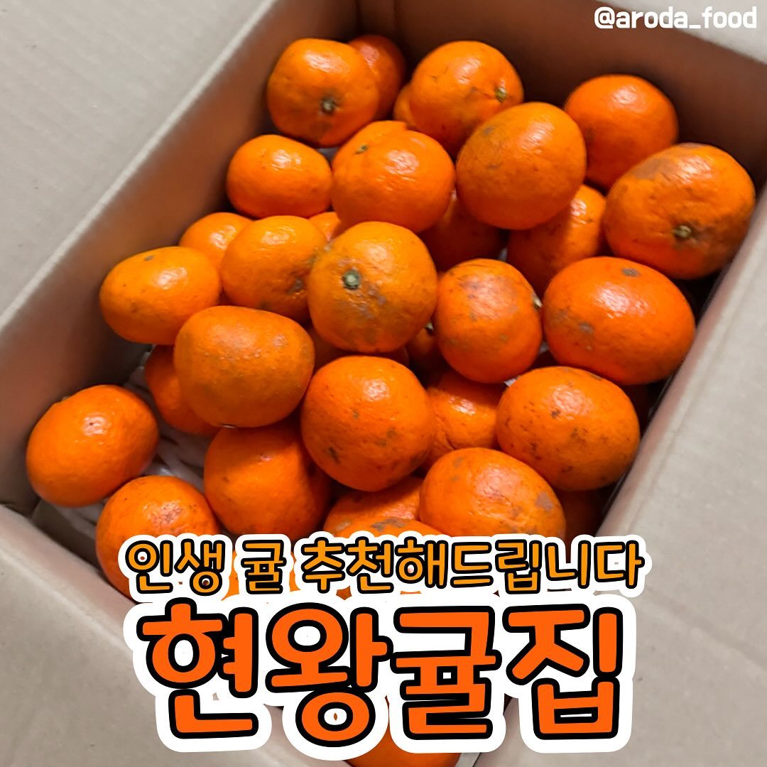 찐 귤맛집 추천🍊 #로다_리뷰
여러분 여러분 여러분 여러분 넘 오랜만이예요! 이렇게 갑작스레 돌아온 이유는,, 진짜 찐 귤맛집 찾아버렸습니다😭 여러분들이랑 공유하고 싶어서 일 다 때려치우고 등댱✨ 

벌써 두 박스째예요.. 제가 귤을 너무 좋아해서 매년 대여섯 박스씩 먹는데 이번 겨울의 다섯 박스 중 두 박스가 바로 이 #현왕귤집 귤이랍니다🫢hwmh_jeju 

일단, 제가 귤을 정하는 기준! 모두가 그렇겠지만 맛입니다. 달달한 귤을 좋아하시는 분들이 있고 상큼한 귤을 좋아하시는 분들이 있는데 저는 새콤달콤한 귤을 엄청 좋아해요.(꼭 둘 다 해야합니다) 너무 달아도 느끼하다 느껴서 많이 못먹구요, 그렇다고 너무 시면 손이 안가더라구요. 그런데 여기 귤이 두 박스째 먹어도 딱 적당히 새콤달콤해서 완전 나이스,, 사실 저번에 먹었을 때 부터 올려야겠다 싶었는데 넘 바쁜 현생 때문데 이제야 올리게 됩니다. 특히 저희 동생이 신걸 아예 못먹어서 평소 귤은 입에도 안대는데 여기 귤을 까달라고 가져오기까지 했어요! 그 정도로 신거 못드시는 분들도 입에 맞답니다.

진짜 놀랍게도 지금 썸네일 사진이 전혀 색보정안한 사진이예요,, 귤 색이 진짜 가짜같을 정도 진합니다. 얼마나 잘 키웠으면 이런 색이 나올까 할 정도로 정말 예쁜 색이예요. 지금까지 보정안하고 올린 사진이 없었어서 따로 놀까봐 걱정했는데 걱정 제로랍니다.

뿐만 아니라 방부제 저장제 착색제 왁스코팅도 전혀 안했대요.. 그래서 여기는 귤 껍질로 차를 끓여서 마실 수 있을만큼 믿고 먹을 수 있다는 점! 한의사가 직접 키우신다고 해요.🥰 저는 몰랐는데 저희 어머니께서 현왕귤집이 인간극장에 나온걸 보셨더라구요. 어머니도 엄청 좋아하심ㅎㅎ 다른 귤과는 다르게 얼룩 덜룩한 무늬들도 있지만 저는 무조건 맛에 집중하는 편이라서 완전 대만족,, 안예쁘면 어때요! 맛 좋고 건강에도 좋은걸요~

또 마지막 사진 보이세요?? 얼마나 귤을 눌러담아주셨으면 애들이 찌부가 돼욬ㅋㅋㅋ 저게 원래 저렇게 자란게 아니라 꽉꽉 채워주셔서 저러더라구요. 하나라도 더 먹어서 개이득💕 심지어 귤이 너무 많이 터져있으면 환불까지 해주신대요.. 땅 파서 장사하세요..?🫢

하나만 더 말할게요,, 귤 오기 전에 문자가 날라오는데 귤 맛있게 먹는 법과 관리하는 법이 적혀있어요. 무슨 러브레터도 아닌데 왤케 설레는지😅 보면서 제가 너무 감동먹어가지구 답장할뻔햇다니까요ㅠㅠ 완전히 귤에 진심이신 분들입니다. 진짜 믿고 먹는다는게 이럴 때 쓰는 것 같아요🍊

이러니까 뭔가 광고같은데 전혀 아니라는 점.. 협찬도 아닙니다. 그냥 넘모 맛있어서 제발 잘 돼라ㅠㅠ 사라지지 마라ㅠㅠ 하는 마음에 올리는 거예요. 물론 이미 잘 되고 계시지만ㅎ 

현왕귤집 인스타그램 hwmh_jeju
네이버 스마트 스토어 https://smartstore.naver.com/hwmh
쿠팡 https://bit.ly/현왕귤집

#제주도 #제주감귤 #한의사귤 #인간극장 #과일맛집 #과일추천 #스마트스토어 #현왕님 #우왕이현왕