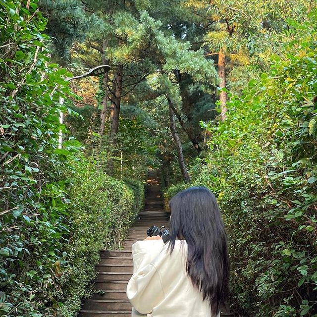 폴린 데일리룩 패션계정 일상계정 on Instagram: "#광고 히히 올만에 아이러니포르노! 소재가 미쳤어요!! 소프트한 터치감과 은은한 광택감으로 사진 찍을 때마다 은은한 반짝거림이ㅜ 진짜 이