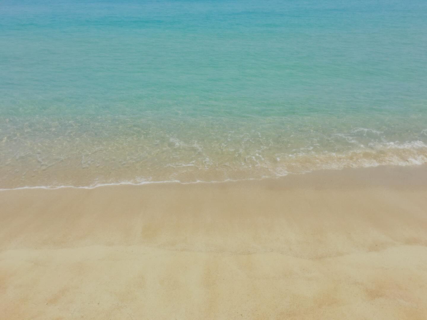 📸