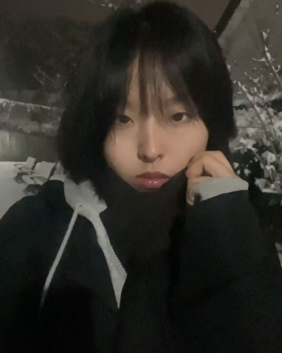 콘텐츠