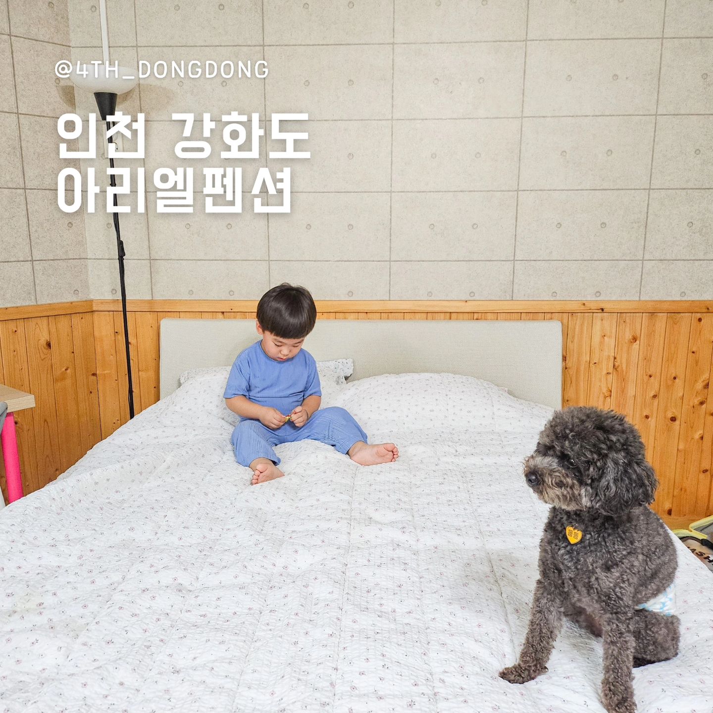 #강화애견동반펜션 #아리엘펜션

겨리X동동, 이번엔 가까운 강화도로 고고싱 😉
바베큐파티도 즐기고, 논과 호숫길을 걸으며 힐링까지 🎶

▪️깨끗한 반려견 동반 펜션
침구는 뽀송뽀송 🙂‍↕️ 청소 상태도 깔끔 🙂‍↕️
실내는 최근 리모델링한 거 같은데 덕분에 더 좋았어요.

▪️바베큐 꼭 해야 하는 펜션
각 룸별로 바베큐장이 있어서 프라이빗하게 즐기기 좋았어요 😘
더군다나 제가 가 본 펜션 중 숯하고 불판이 가장 좋았던 곳!
생선 뒤집다가 부셔질까봐 살짝 걱정했었는데, 
와우 불판이 너무 좋으니 걱정 없었어요 😝
숯은 얼마나 좋은지, 그을음 하나도 안 올라오고
은은한 불로 끝까지 맛있게 구워지더라구요!

▪️숙소 앞 바로 주차 가능
숙소 앞에 바로 주차할 수 있는 공간이 있어
짐 나를 때 걱정 없다구요 🥴

친절한 사장님 덕분에 더 잘 머무르다 간 아리엘 펜션, 
필요한 게 있어 부탁드리면 바로 해결해주시고
동동이보고 자유롭게 뛰어놀라고 얘기해주셔서
기분 좋게 쉬다 갑니다 😚

아, 그리고 인근 논과 호숫길을 걸으며 산책하는 것도
이 펜션의 또 다른 매력이니 느껴보시길 😘

#강화도애견동반 #강화애견동반 #강화도애견동반펜션 #강화도애견펜션 #강화애견펜션 #강화숙소 #강화도숙소추천 #강화펜션 #강화펜션추천 #강화도펜션추천