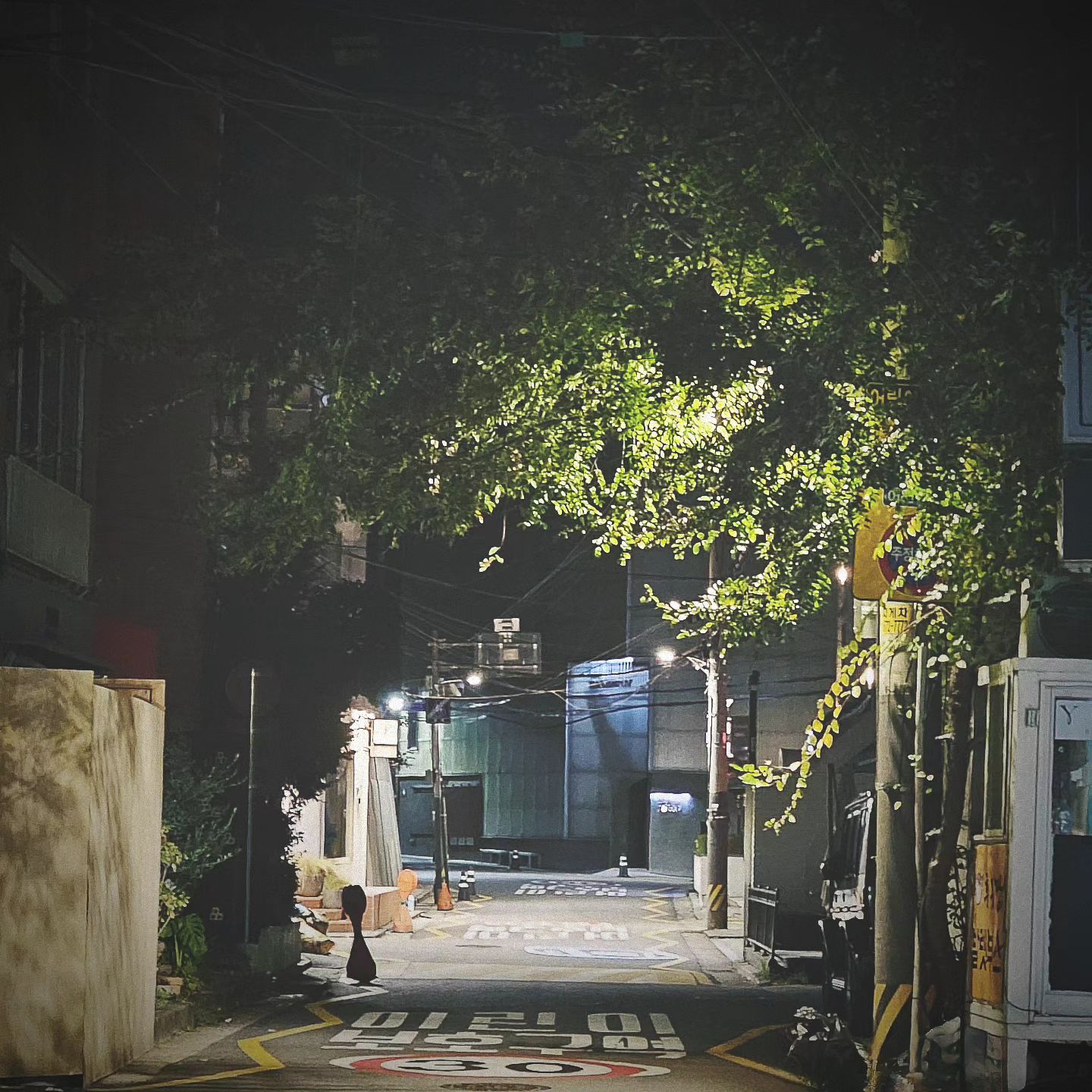 콘텐츠