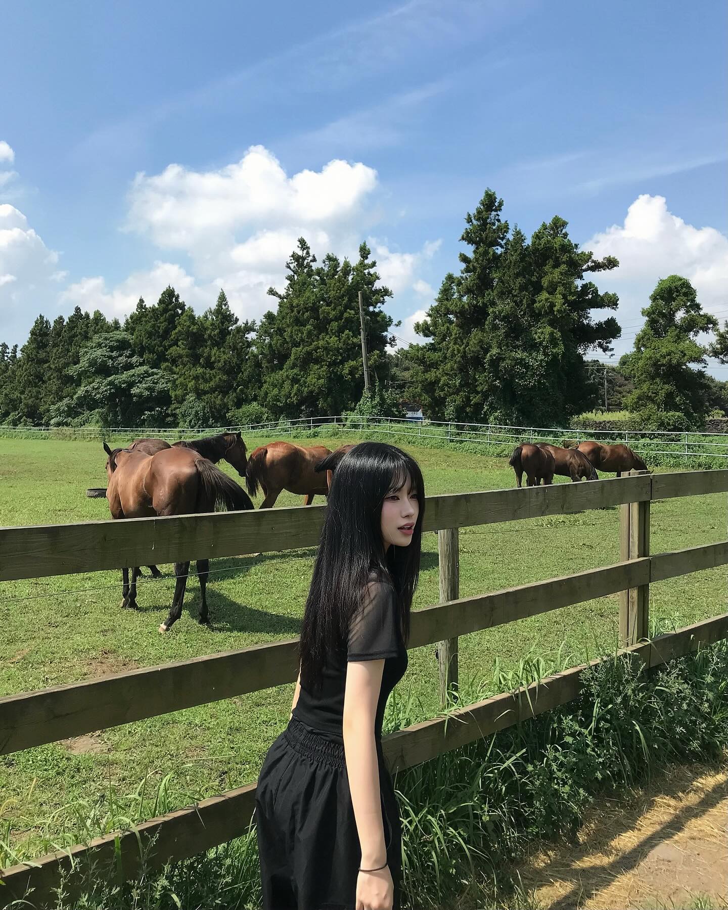 🏝️🐎..........💚