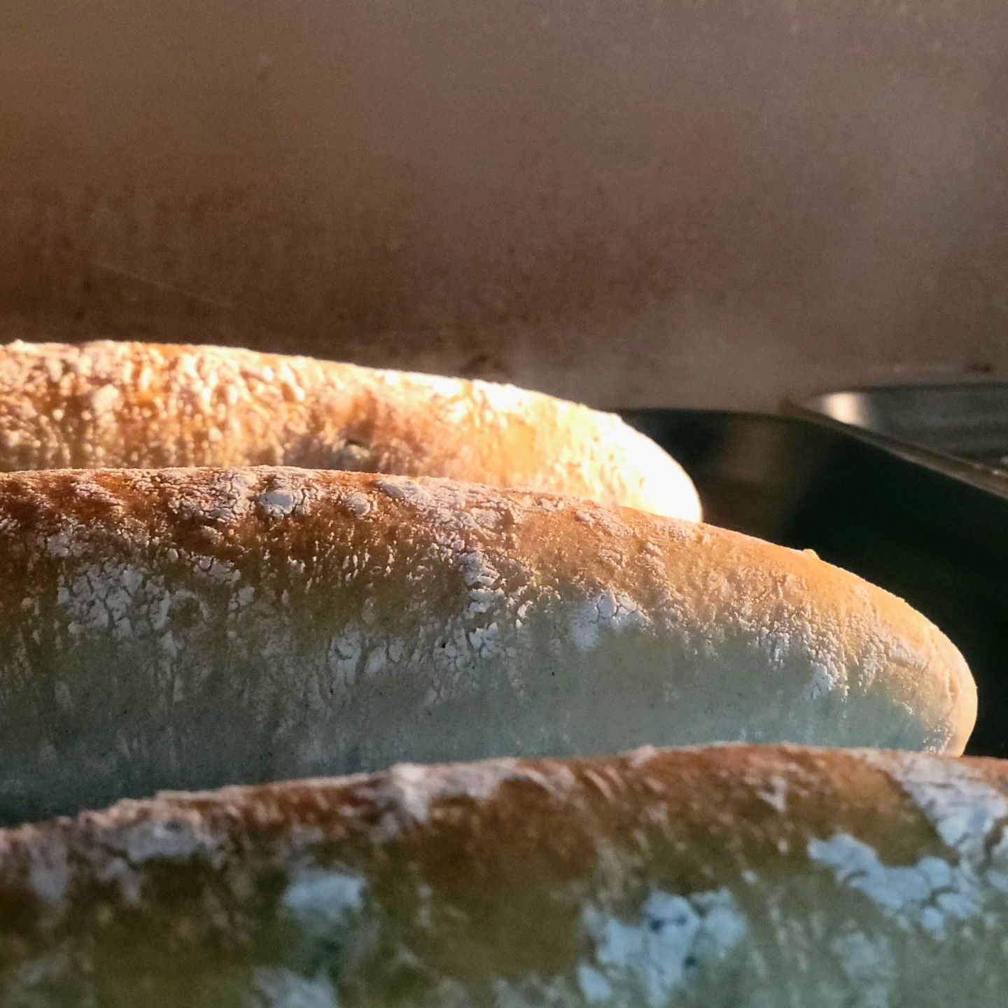 블루베리 천연발효빵 🥖
천연발효종인 화이트샤워종이 50%나 들어가서
쫄깃한 식감과 풍미가 너무 매력적이었던 품목이다
듬뿍든 블루베리 때문에 달콤한맛까지 더해지니 더 맛있는거 같다 😊
.
.
.
.
.
.
🫐