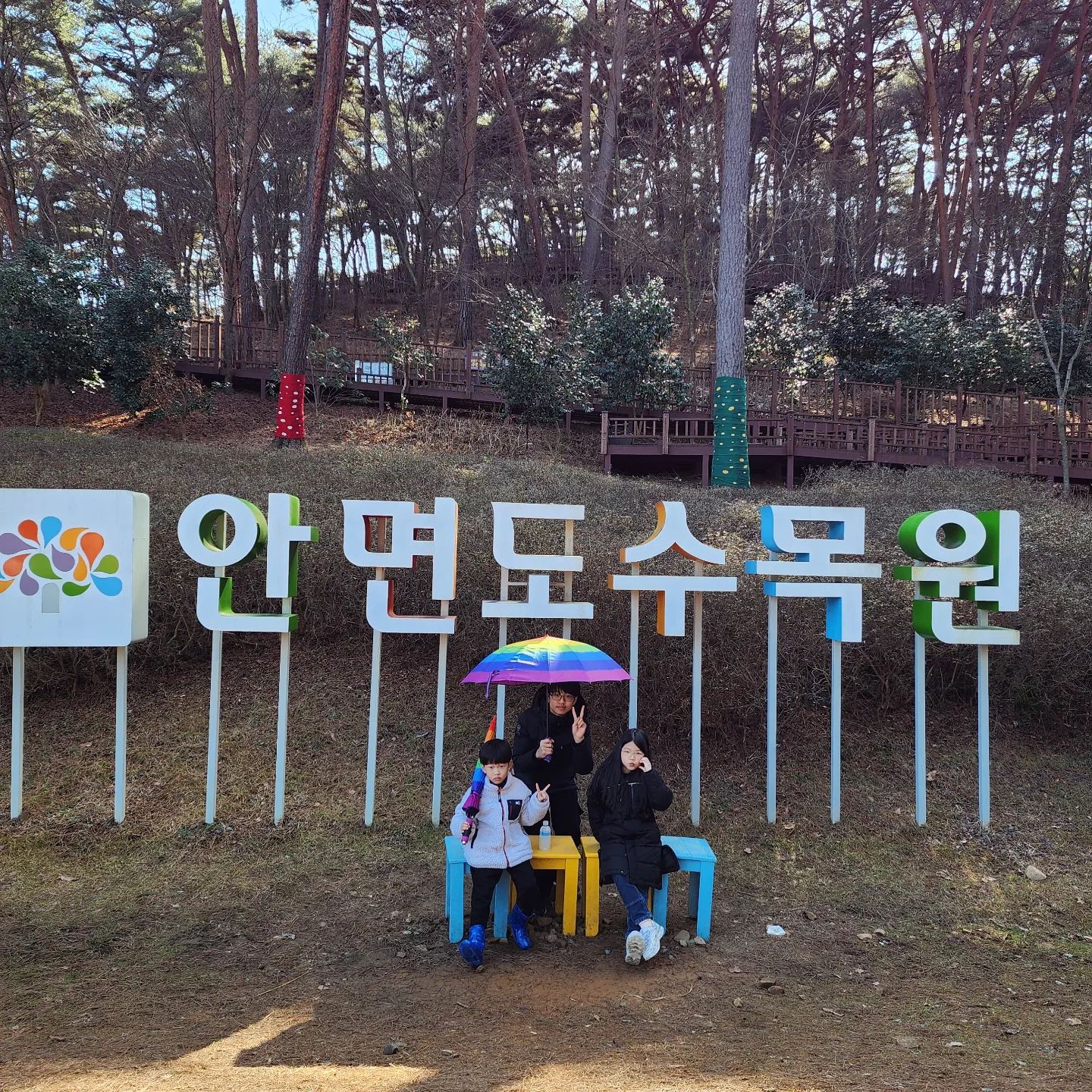.
#안면도여행중 
#안면도수목원 
#왜이렇게넓은거에요
#절반은
#다음에볼게
