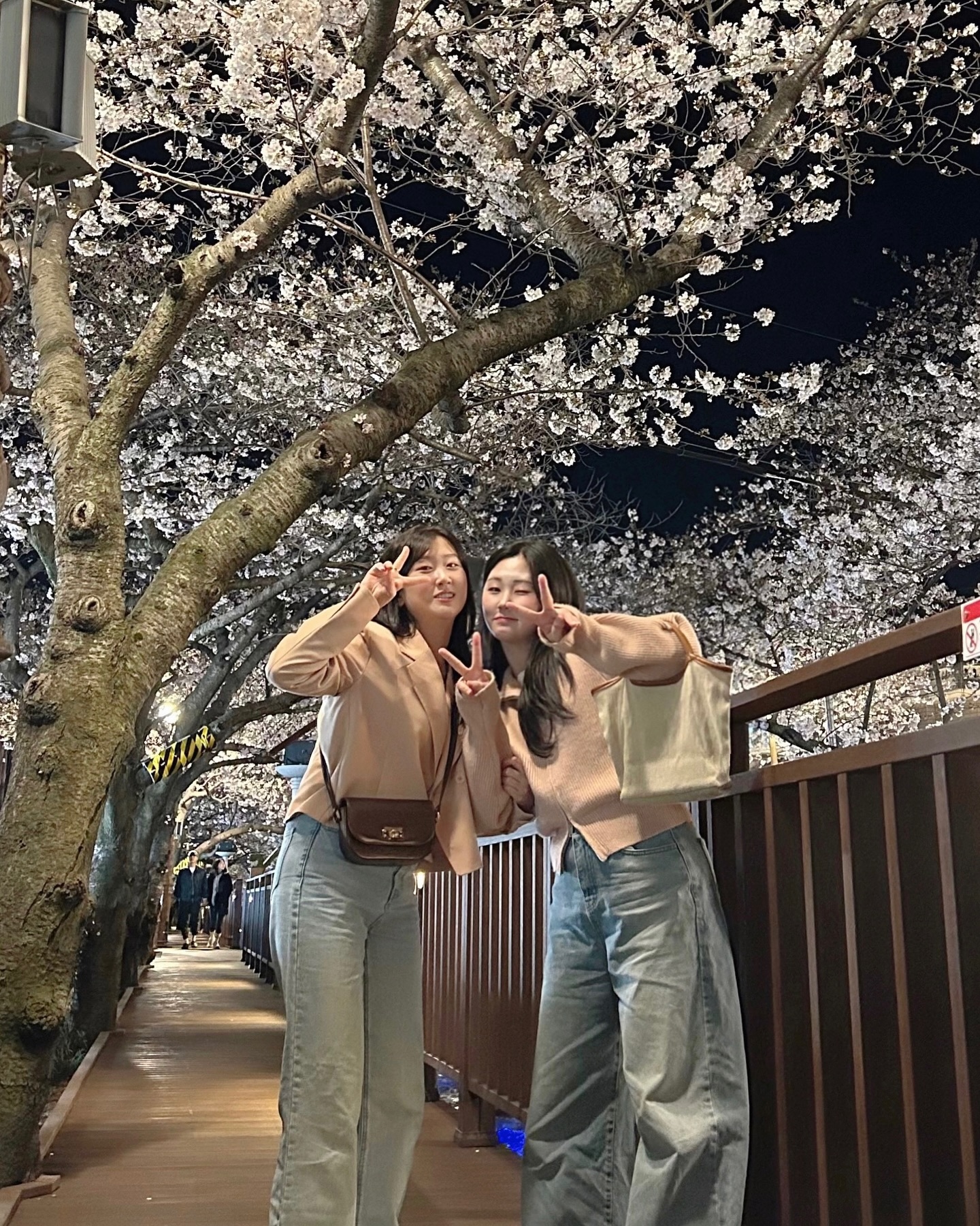 올해 밤 벚꽃은 얘랑 👧🏻🖤