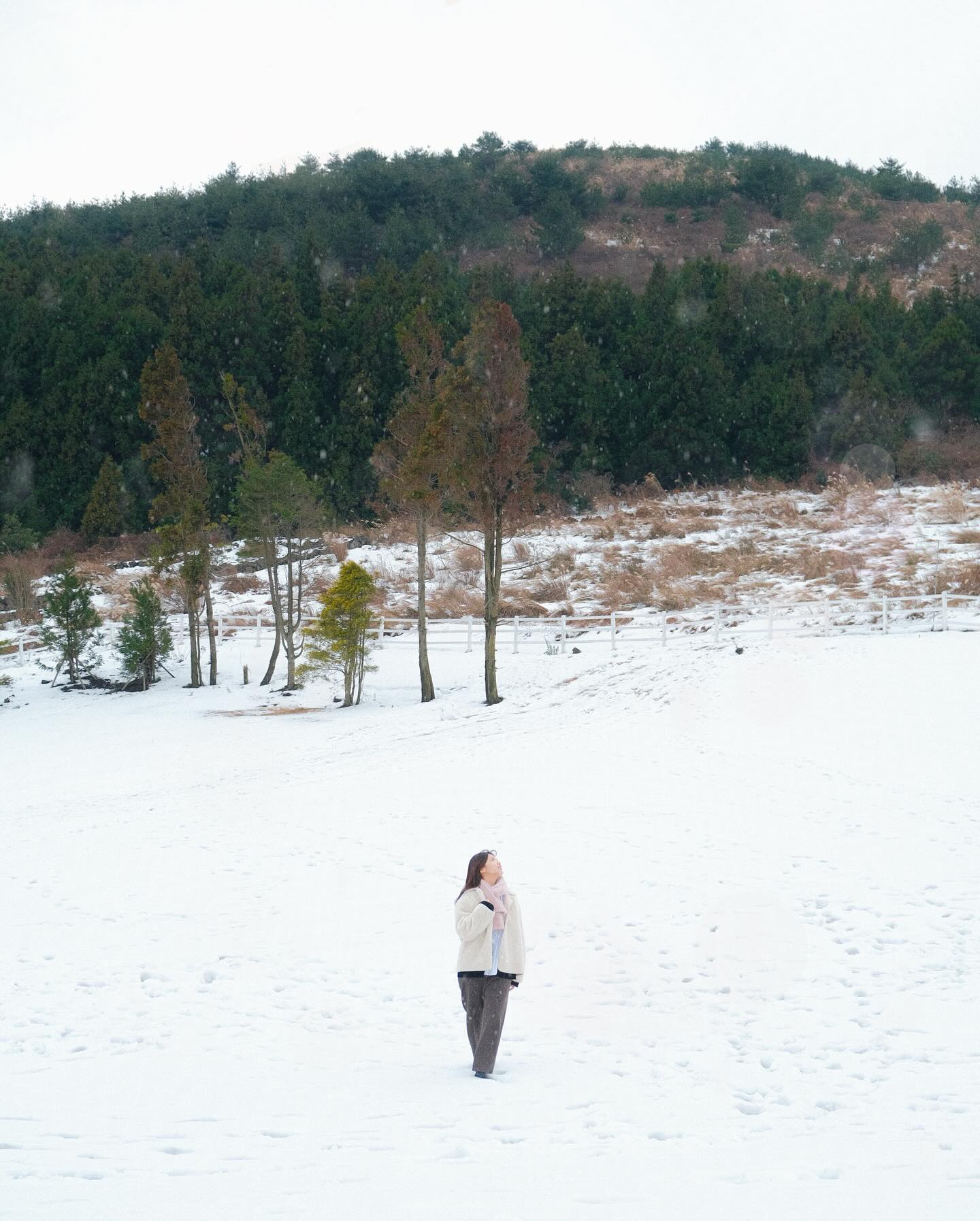 ❄️눈 오는 날❄️ 오름 초보자도 갈 수 있는 추천 오름⭐️

사계절 내내 가기 좋은 곳이면서
스냅 사진 스팟으로도 유명한 곳,

최근 주차장이 만들어지면서
방문하기에 더 좋아진 오름이예요.

현재 24년 7월까지 자연휴식년제에 들어가있어
정상쪽 일부 부분은 출입하기가 어렵지만
나머지는 볼 수 있으니 충분히 즐기고 올 수 있는 곳이예요☺️

🏠백약이오름
📍제주특별자치도 서귀포시 표선면 성읍리 산 1
🏷️24년 7월 31일까지 자연휴식년제
