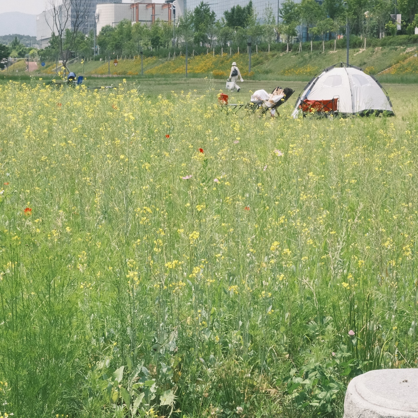 6월, 여름. 
인생에 ‘새싹이 파랗게 돋아나는 봄철’을 청춘이라고 하던데
먼 훗날 돌이켜보면 지금도 청춘이겠지!

#靑春