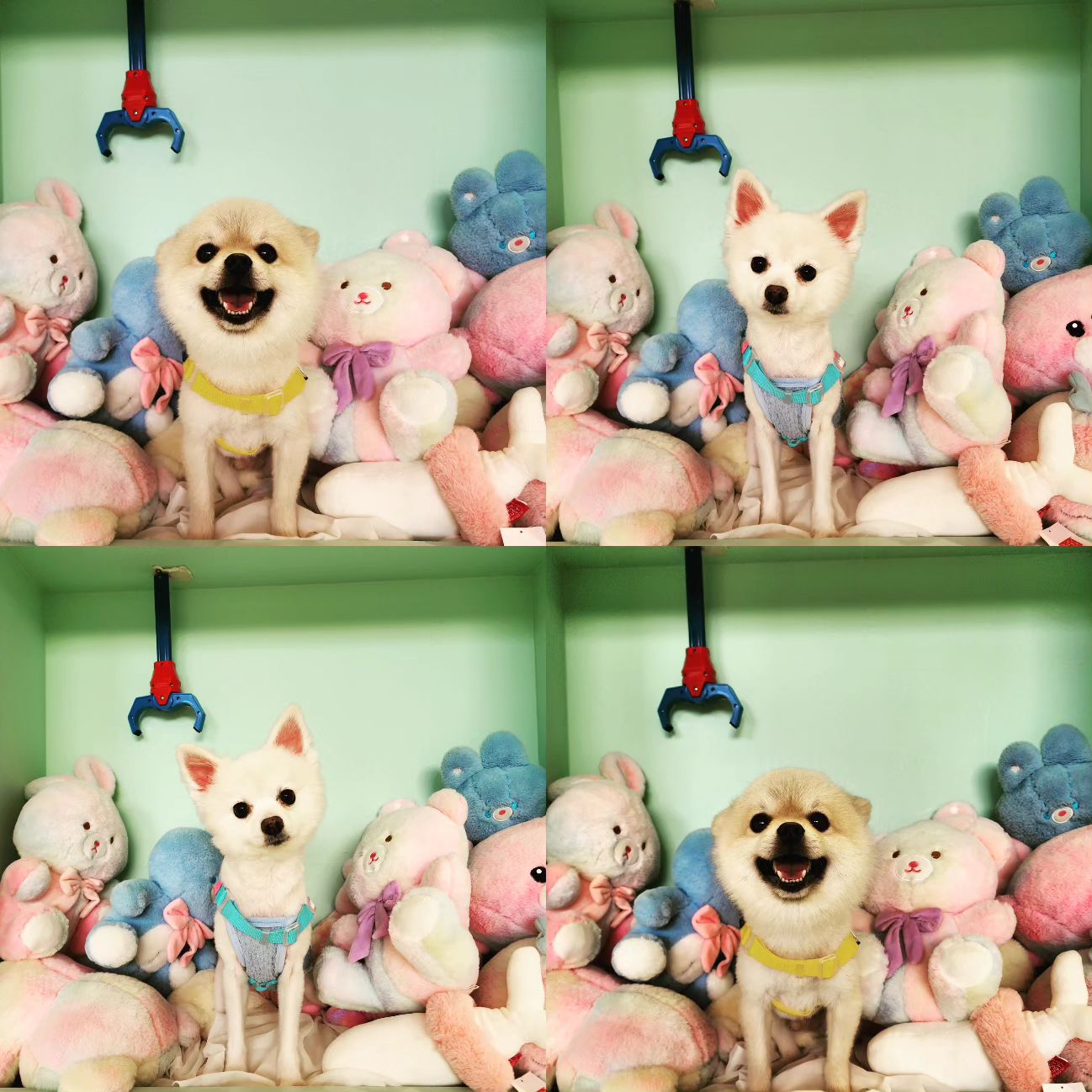 사진찍기 참.. 힘들다 애돌아..