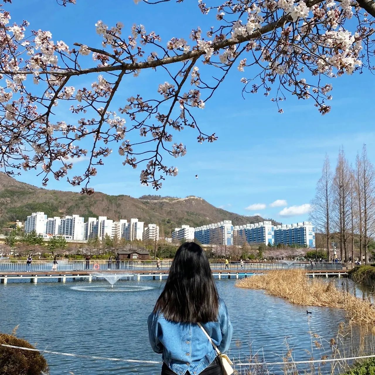 이 때로 돌아가고 싶다