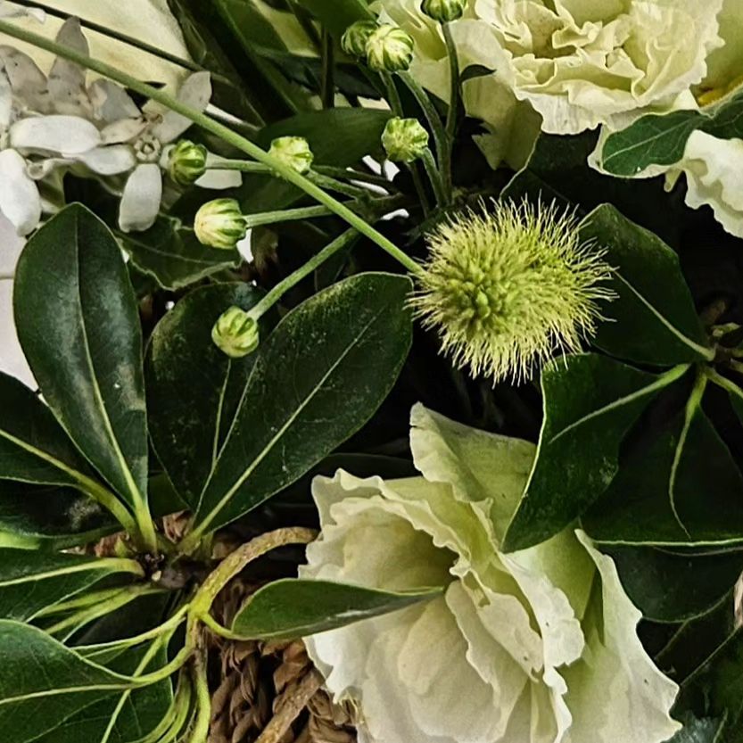 Green and white
