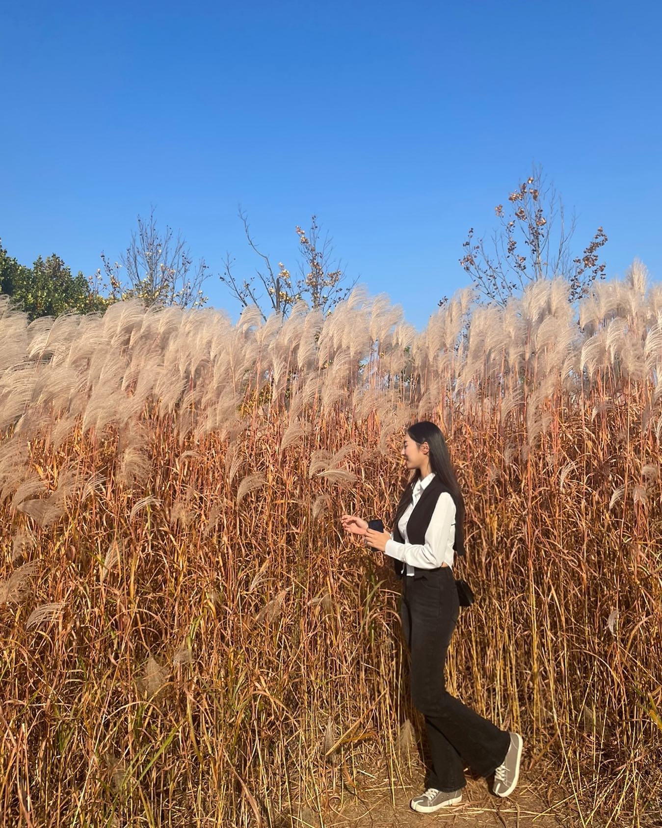 가을 찍먹 🍂🍁