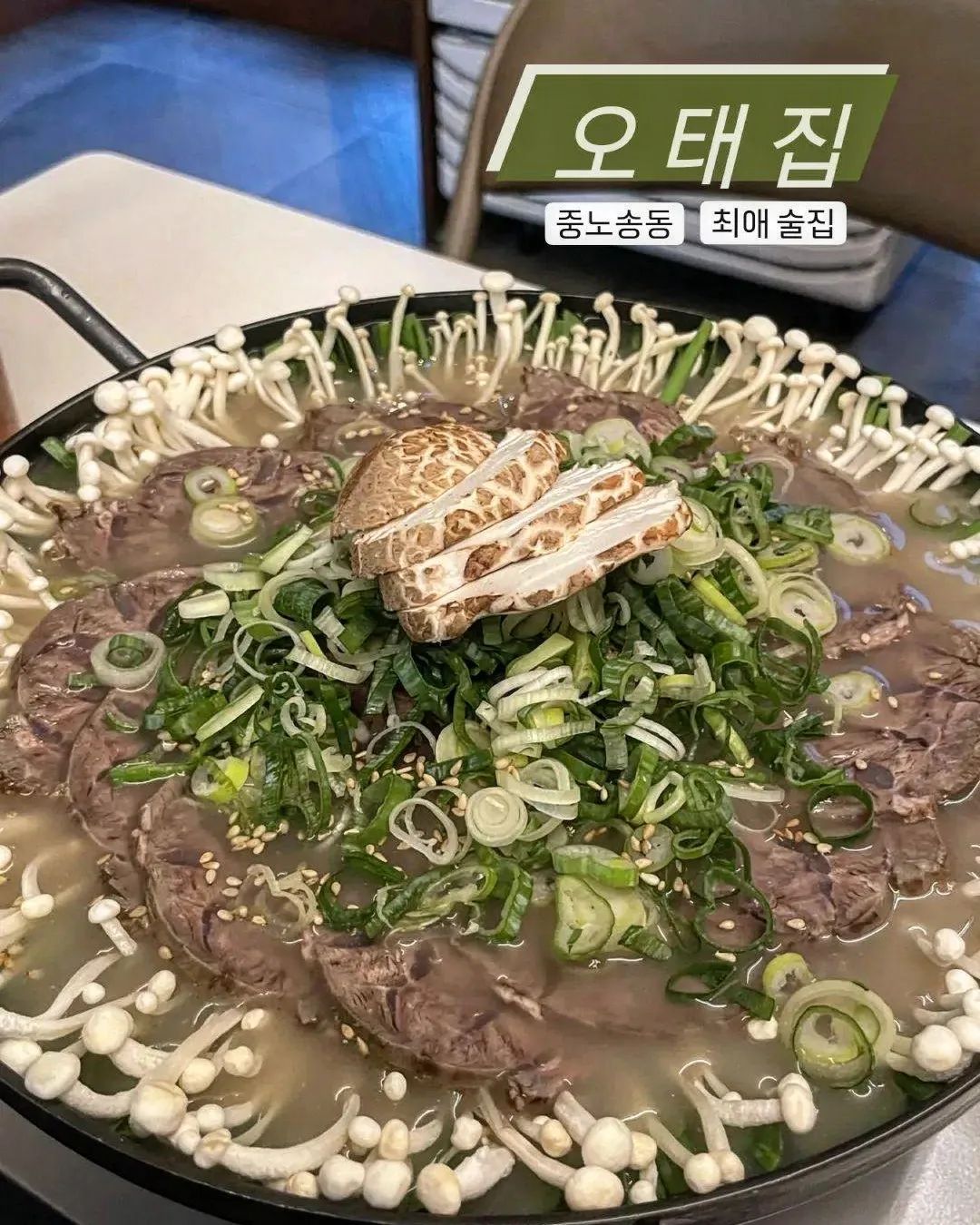 📍오태집

안주가 미친 최애 술집 소개 🍺 
추운날 뜨끈하게 아롱사태전골 한입하면 몸이 노곤노곤 녹음
육사시미, 육회도 고기 넘넘 신선하고 맛있음
술이 술술술 들어가는 안주들😭👍
새우부추전도 존맛탱(기름맛 rgrg?)
침 고인다... 연말 술자리는 오태집으로 ㄱㄱ
.
.
.
.
.
#오태집#전주#전주술집#전주데이트#전주핫플#전주연말모임#전주아롱사태#전주육사시미#전주육회#전주안주맛집#노송동술집#전주현지인추천#전주맛잘알#전주맛잘알_노송동 
5taezip