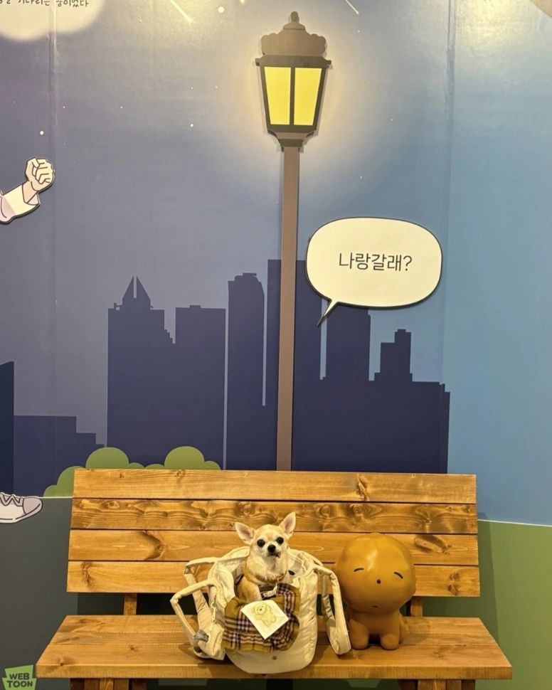공주와 팝업 보는 맛 🫶🏻
어쩌면 나의 마루인 공주랑 함께해서 더 뜻깊었던 팝업
#마루는강쥐#마루는강쥐팝업스토어#사지말고입양하세요