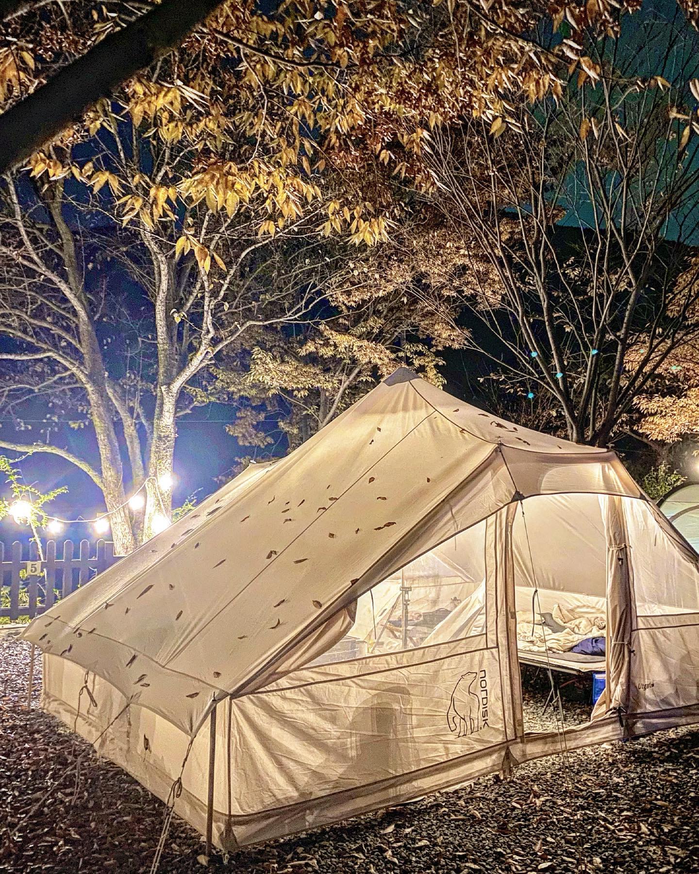 뚱하! 

#우트가르드 쉘터처럼 쓰기~🏠

우트구입후
바닥과 본체를 결합한 상태로 
한번도 해체하지 않았는데
좌식모드는 짐이 많으니 
항상 힘들더라구용!!🌋

🫳🏻
짐도 줄일겸
좌식모드 > 입식모드
새롭게 쓰고싶어
3년만에 처음으로 분리피칭 하였답니다!
🫴🏻

근데 ,, 원래 ,,,
이렇게 ,, 바닥이 뜨나요??
쥐랑 뱀이랑 고양이 
다들어올거 같다면서 
ㅋㅋㅋㅋㅋㅋㅋㅋ

걱정은 잠시뿐이고
감성보다 야생캠핑이 
나한테 잘맞나? 

숭풍숭풍 바람시원하게 
아주 잘잤답니다! 

다행히 저번주 날씨가 
더웠던것도 한몫했다🩷

우트유저들
바닥없이 피칭하실때
어떻게 쓰시는지도 궁금해용!! 🗽

#우트가르드#우트가르드13 #우트가르드텐트 #노르디스크 #우트가르드입식#우트가르드좌식#커플캠핑#부부캠핑#캠핑꿀팁#가을캠핑 #쥐#고양이#뱀