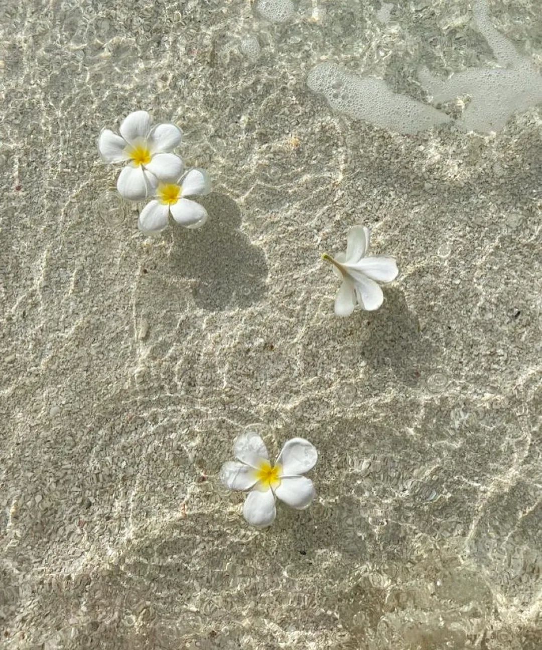 🌊🎐