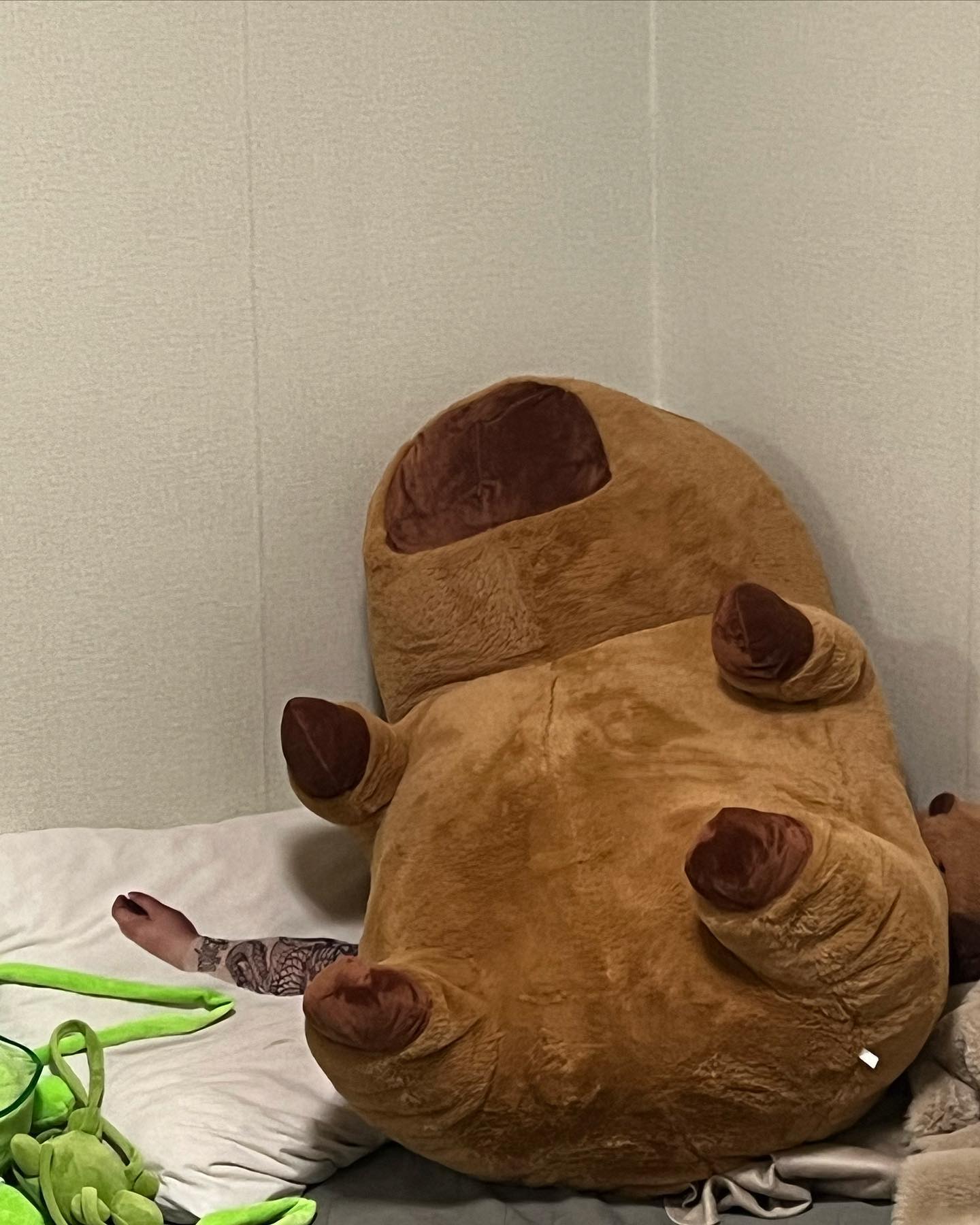 태근냠이 사주는 3번째 카피바라 🦫🤍
너무너무 귀요워엉 햄보캐애 ⁼̴̤̆ ꇴ ⁼̴̤̆ ..

앞으로도 매 년마다 진화시켜줘 태근냠
카피바라 분양하는 그 날까지 카피바라야 사랑해 

ʚ 태바라 , 근바라 , 쪼마니바라 ɞ 

.
.
.
#카피바라 #capibara #카피바라인형 #럽스타그램 #럽스타 #cute