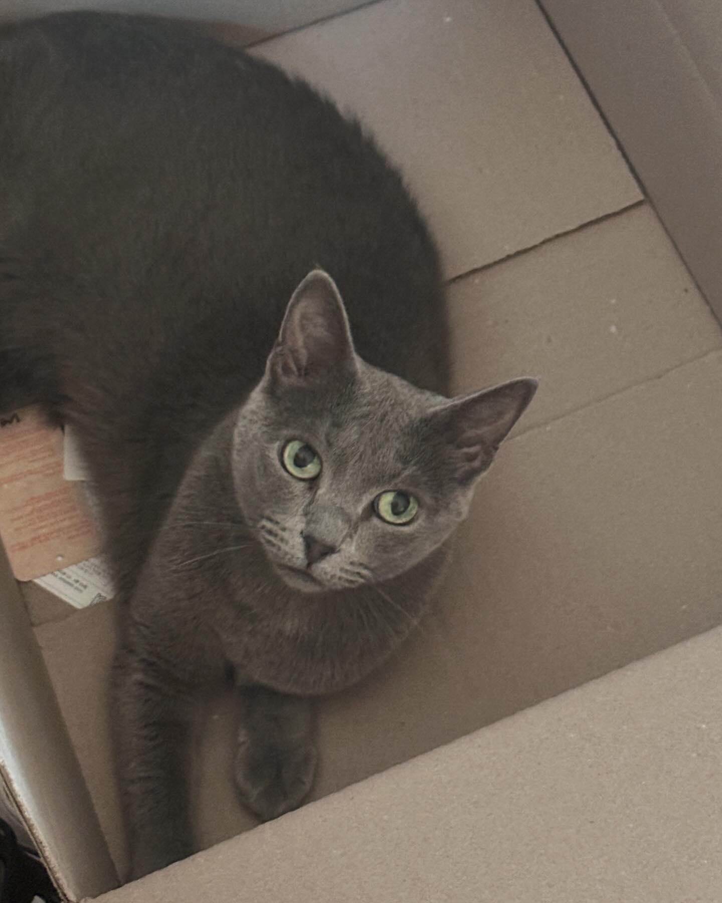 나오세요