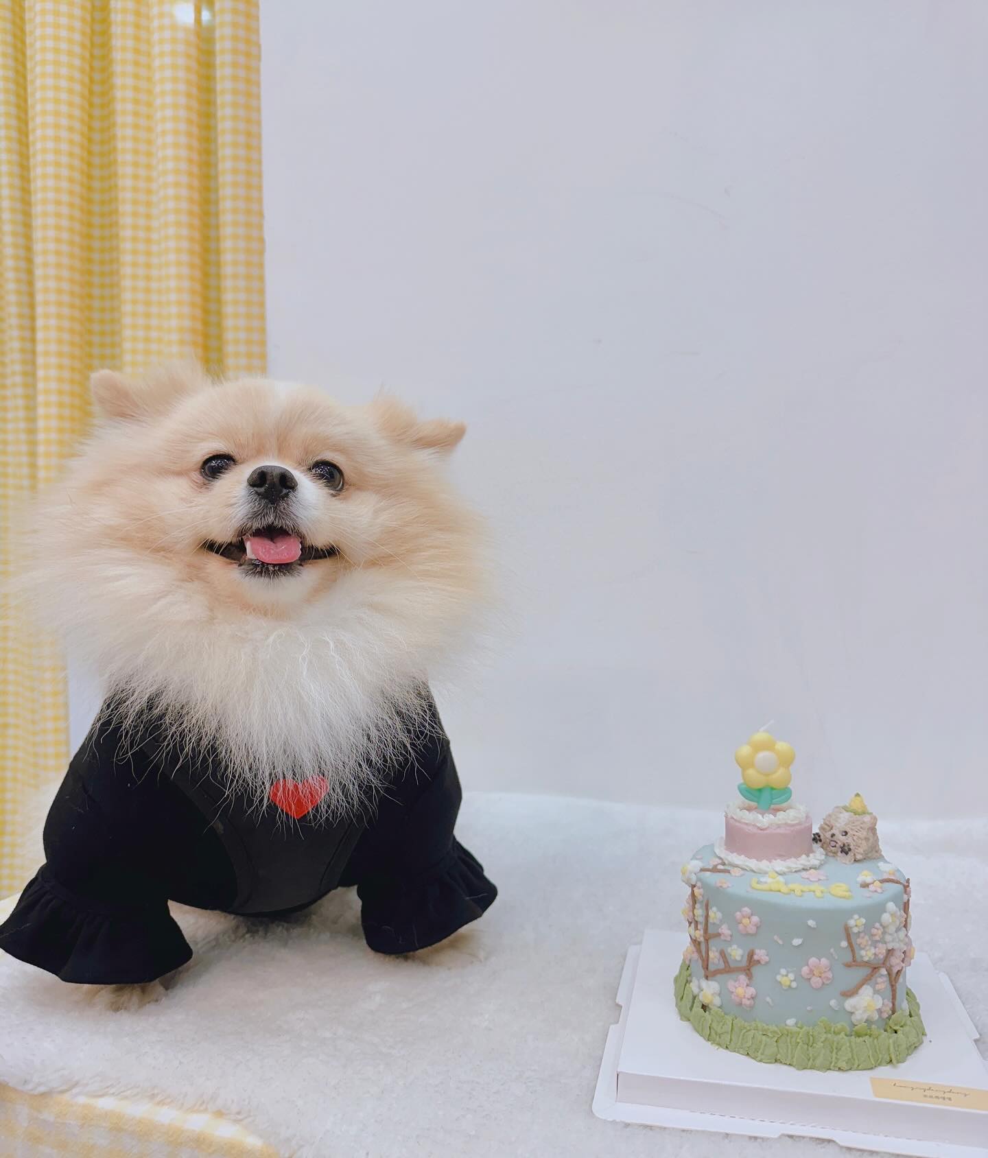 #라떼네간식공장

자르기 너무 아까웠던 케이크🩵
다음엔 3D 입체 케이크다!!