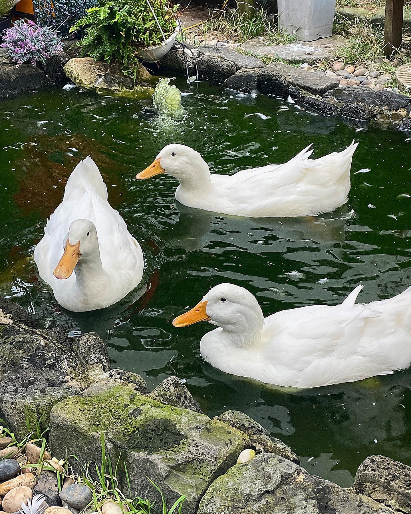 오후3시 부산 감천문화마을