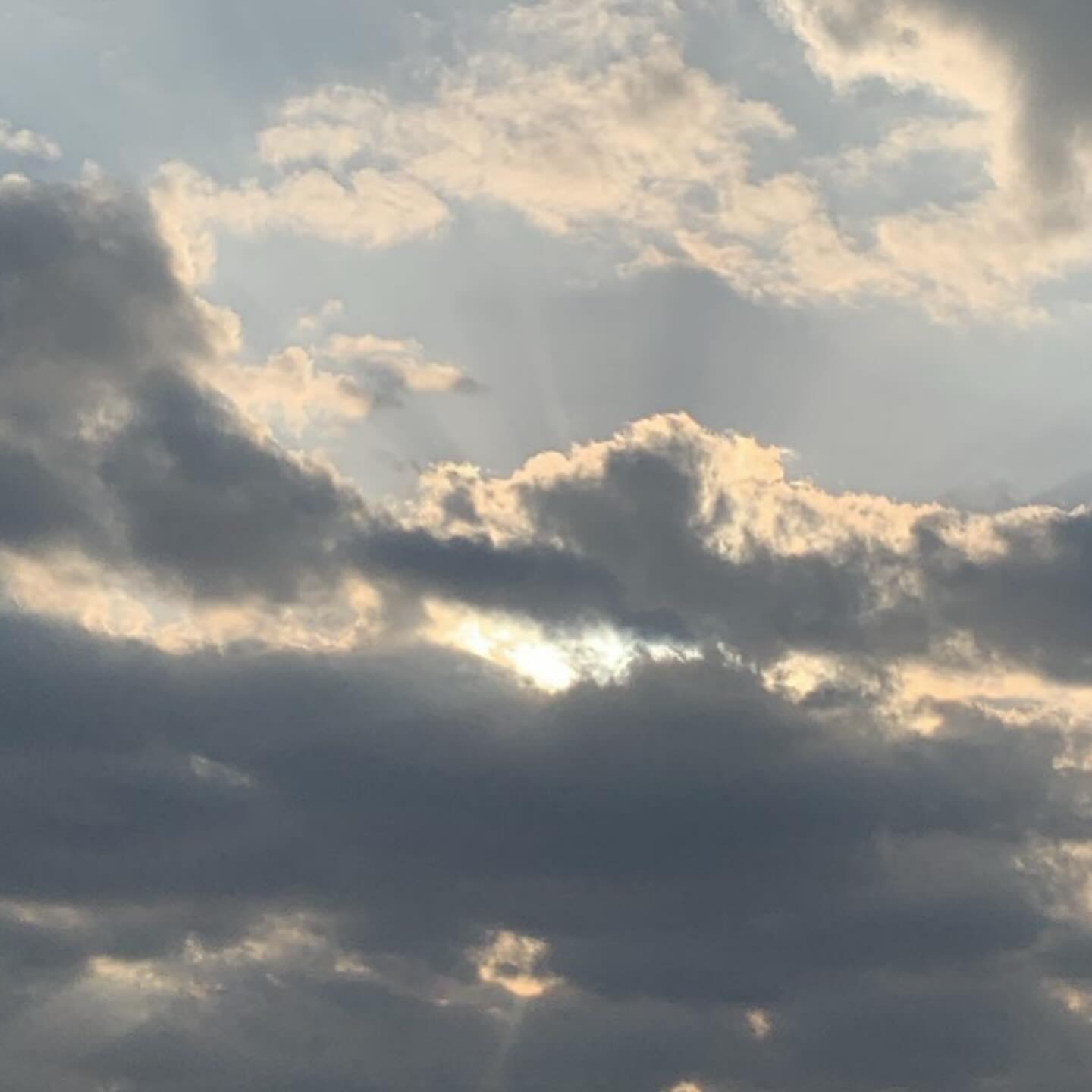🐰ིྀ 🤓ིྀ 🩶ིྀ