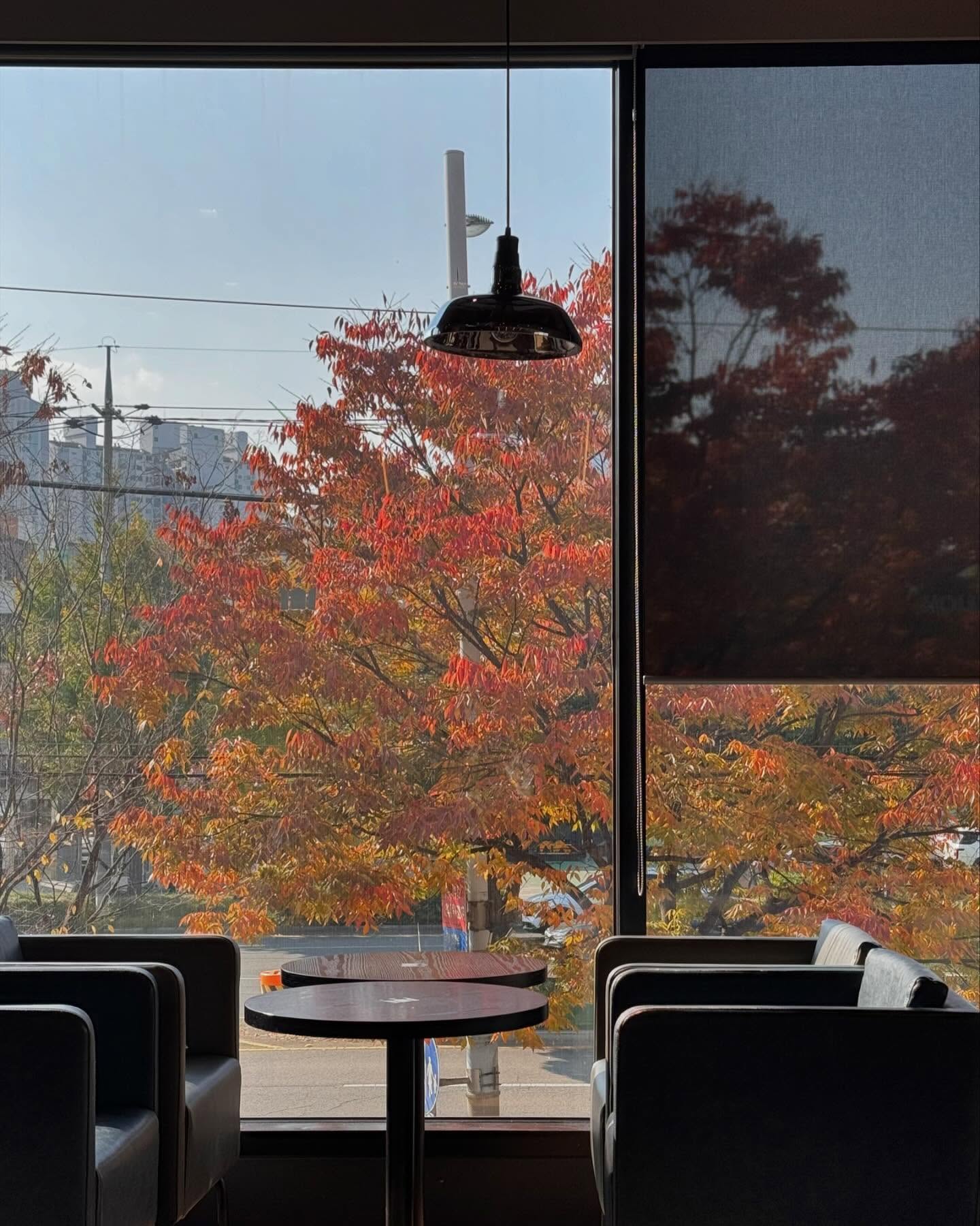 🍂
.
.
.
.

#일상
#아이폰15프로 
#겨울아왔니
#우리집창밖풍경은여전히가을인데