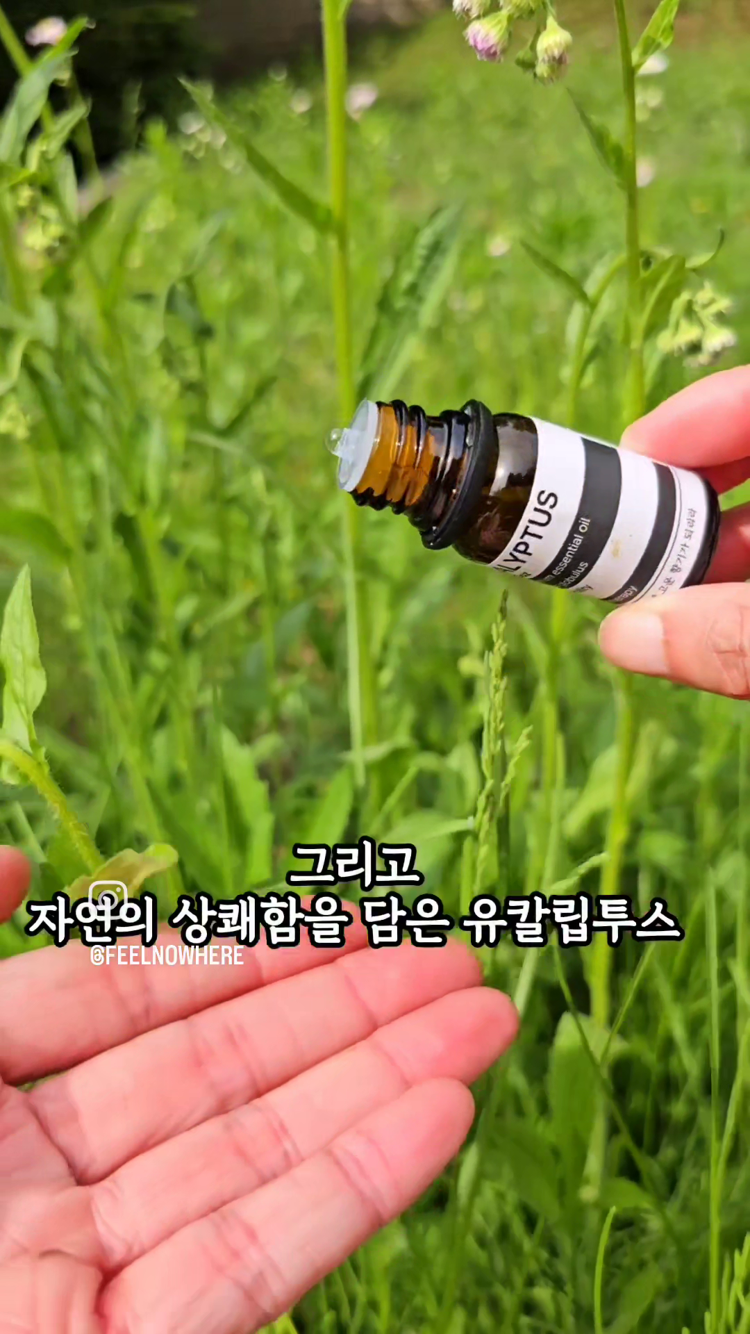 콘텐츠