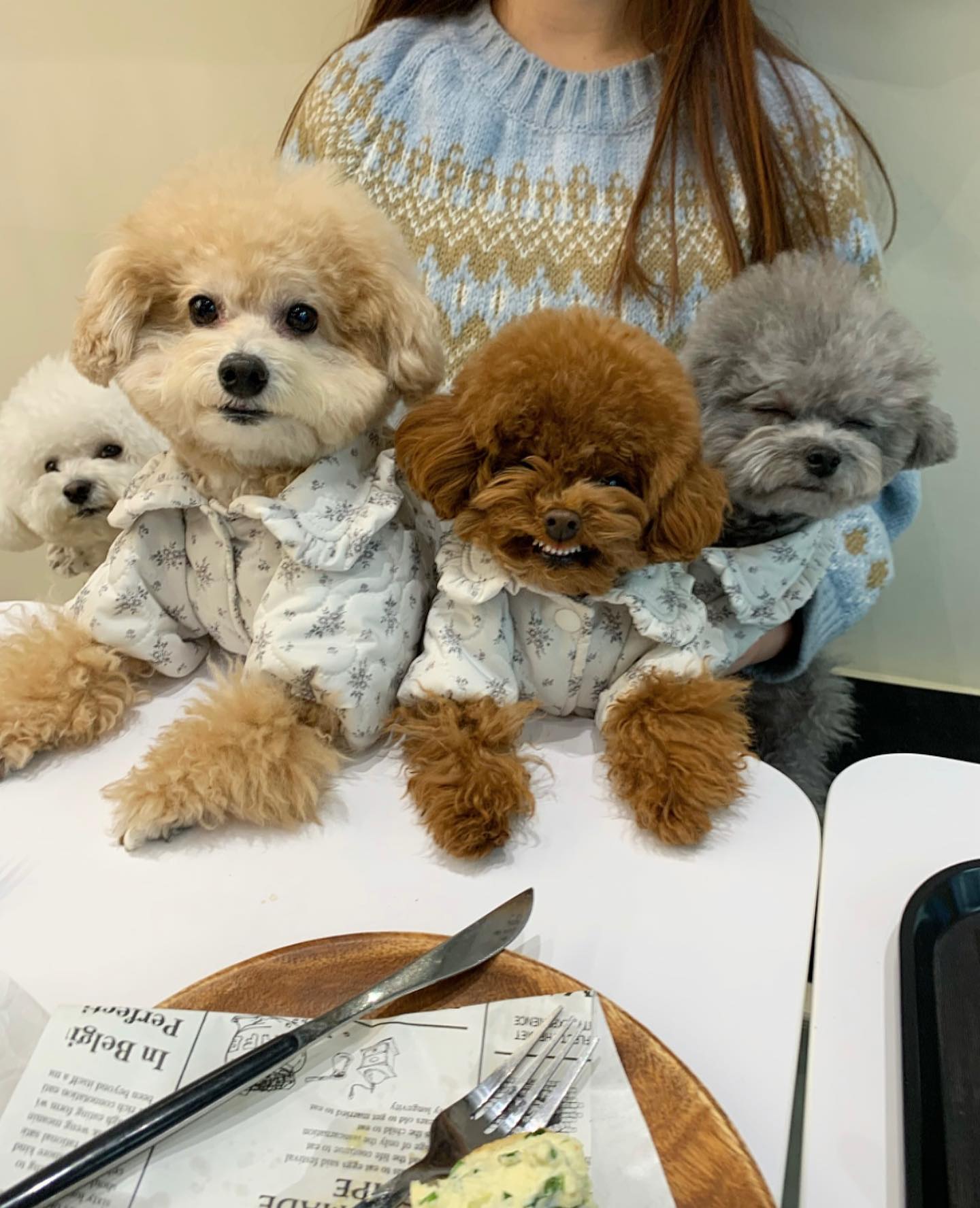 오빠 언니들 웃어 켈켈^____^
혼자 신난 막내 텐션에 생쥐는 절레절레
코봉이는 감당 못 하겠다고 하고 돼지통은 그러려니..
도른애가 나타나서 더 이상 막내는 없다 🌚

우리 패딩 두개 다🤍
babisyoung 

#왕코교꾸 #여시윙꾸 #배통왕아랑 #건치아로 #사총사