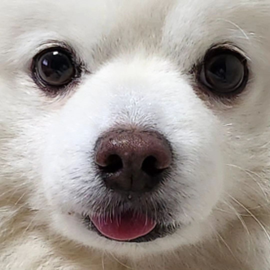 겸디❣️